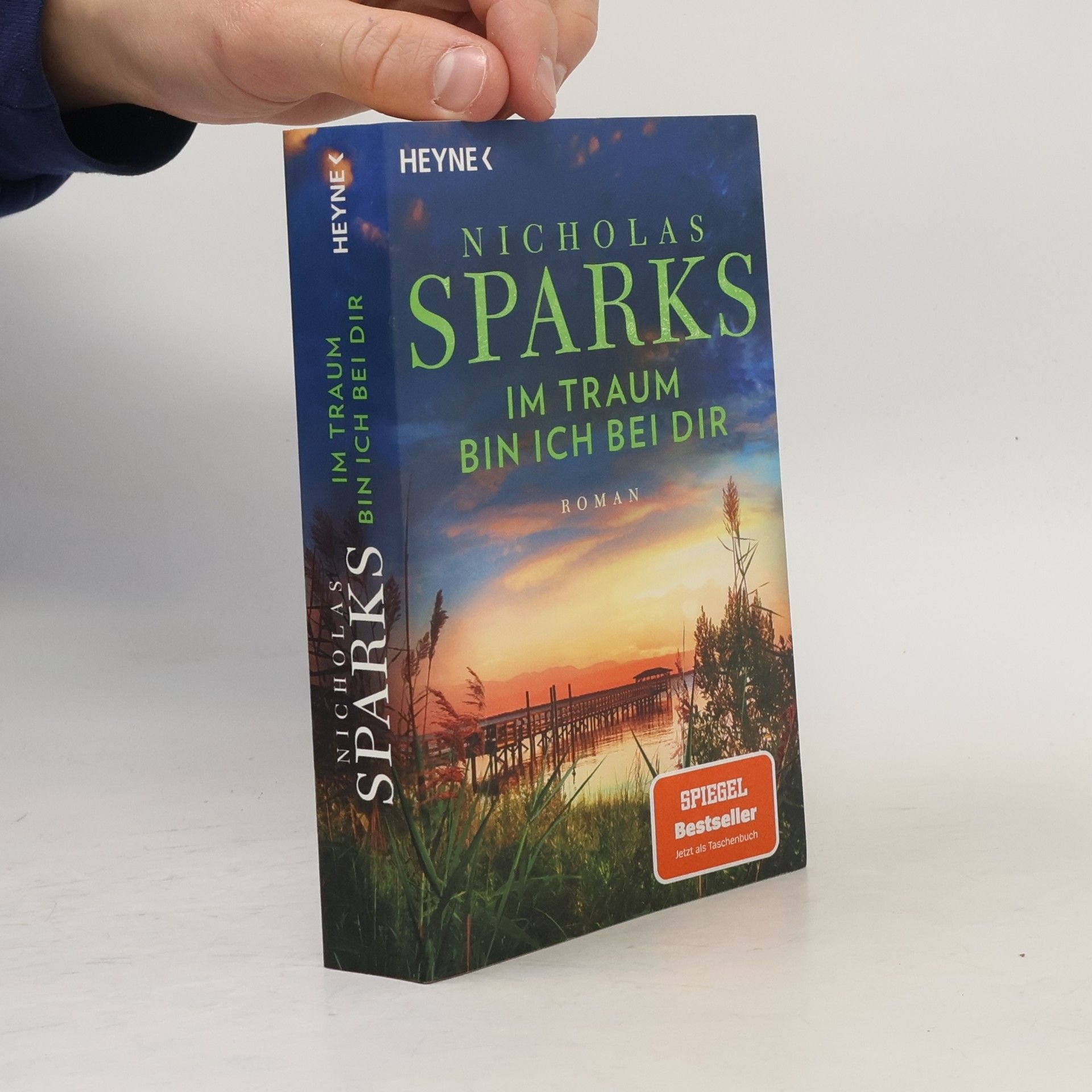 Nicholas Sparks Im Traum bin ich bei dir