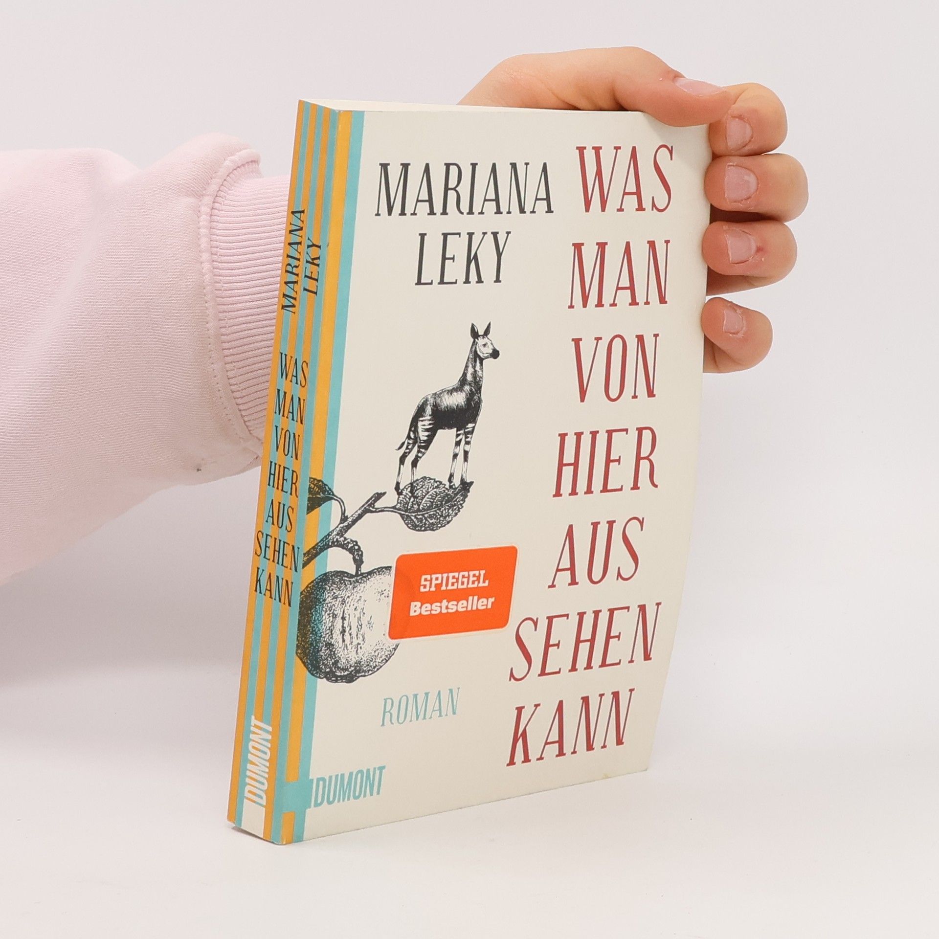 Mariana Leky Was man von hier aus sehen kann