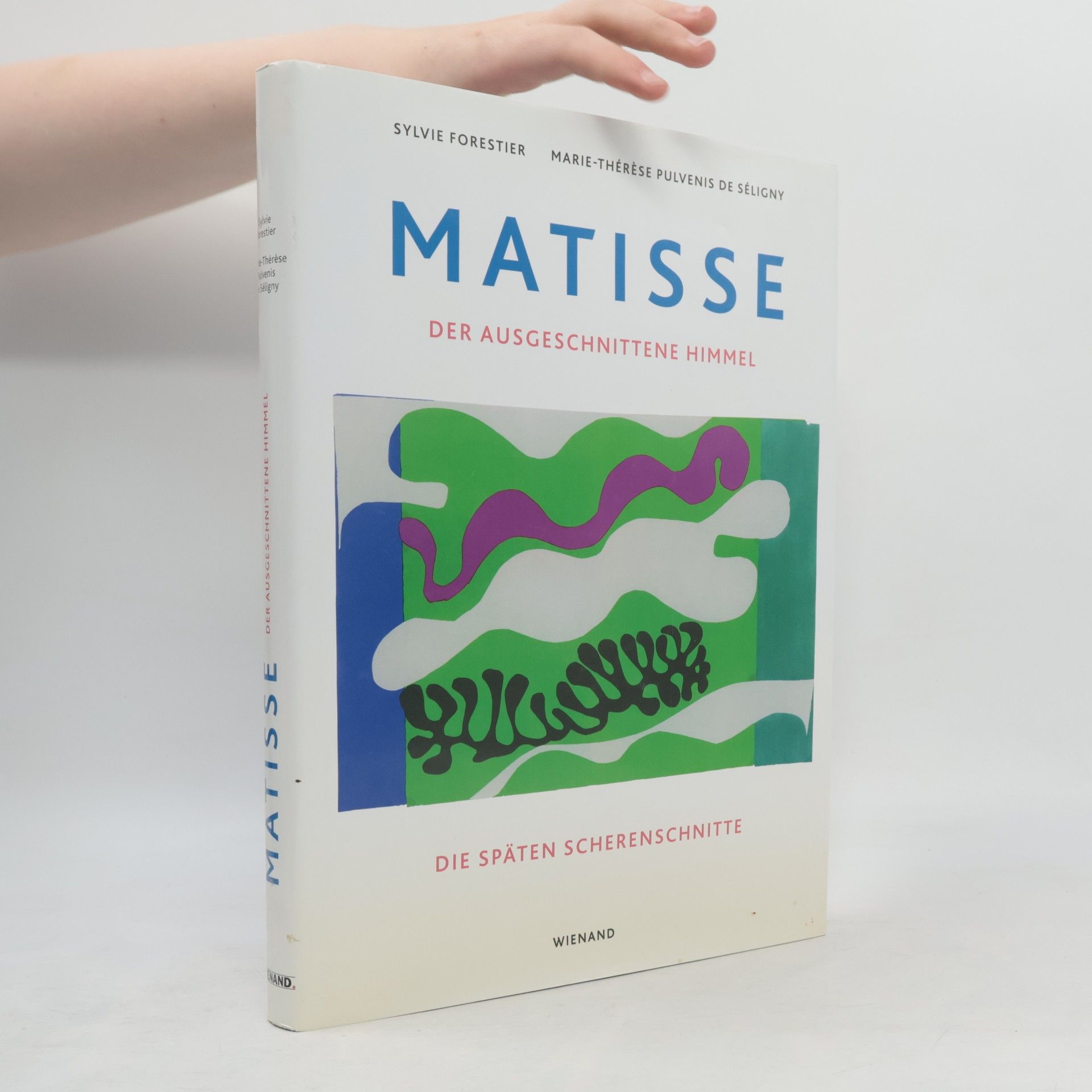 Marie-Thérèse Pulvenis de Séligny Matisse