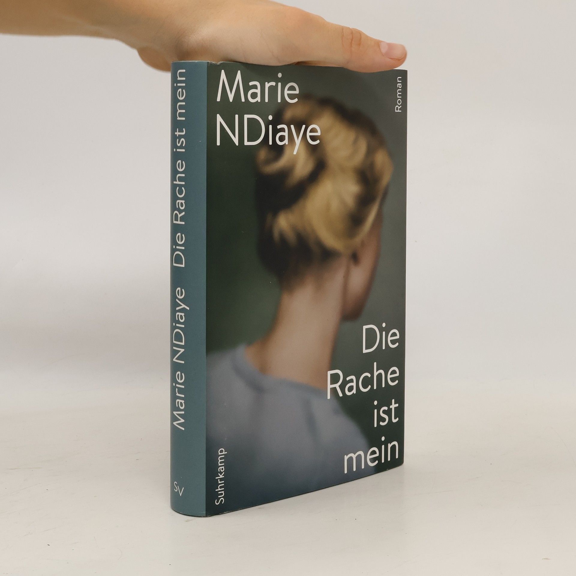 Marie NDiaye Die Rache ist mein