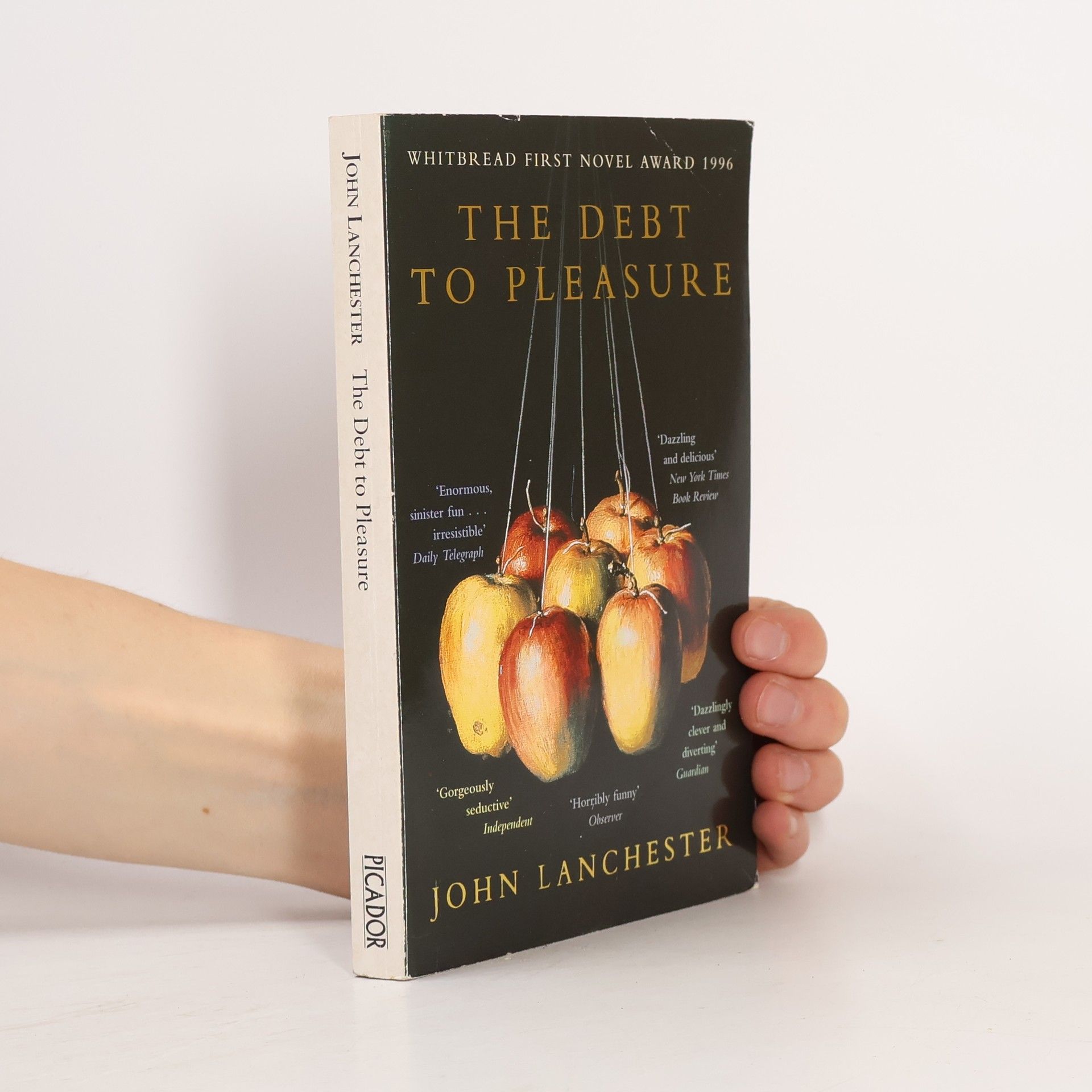 John Lanchester The Debt to Pleasure