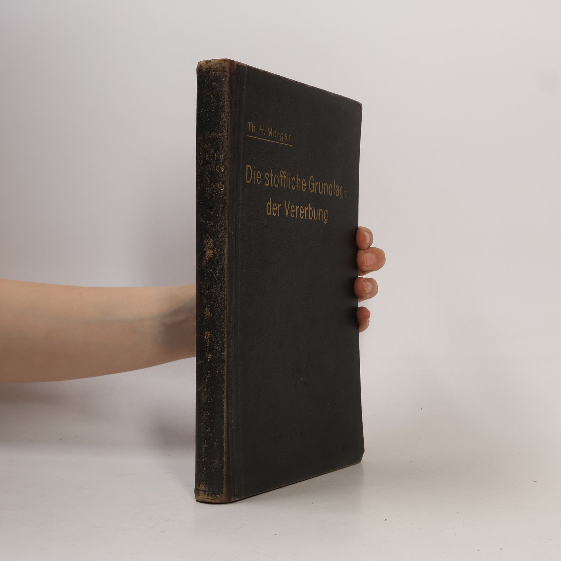 Thomas Hunt Morgan Die stoffliche Grundlage der Vererbung