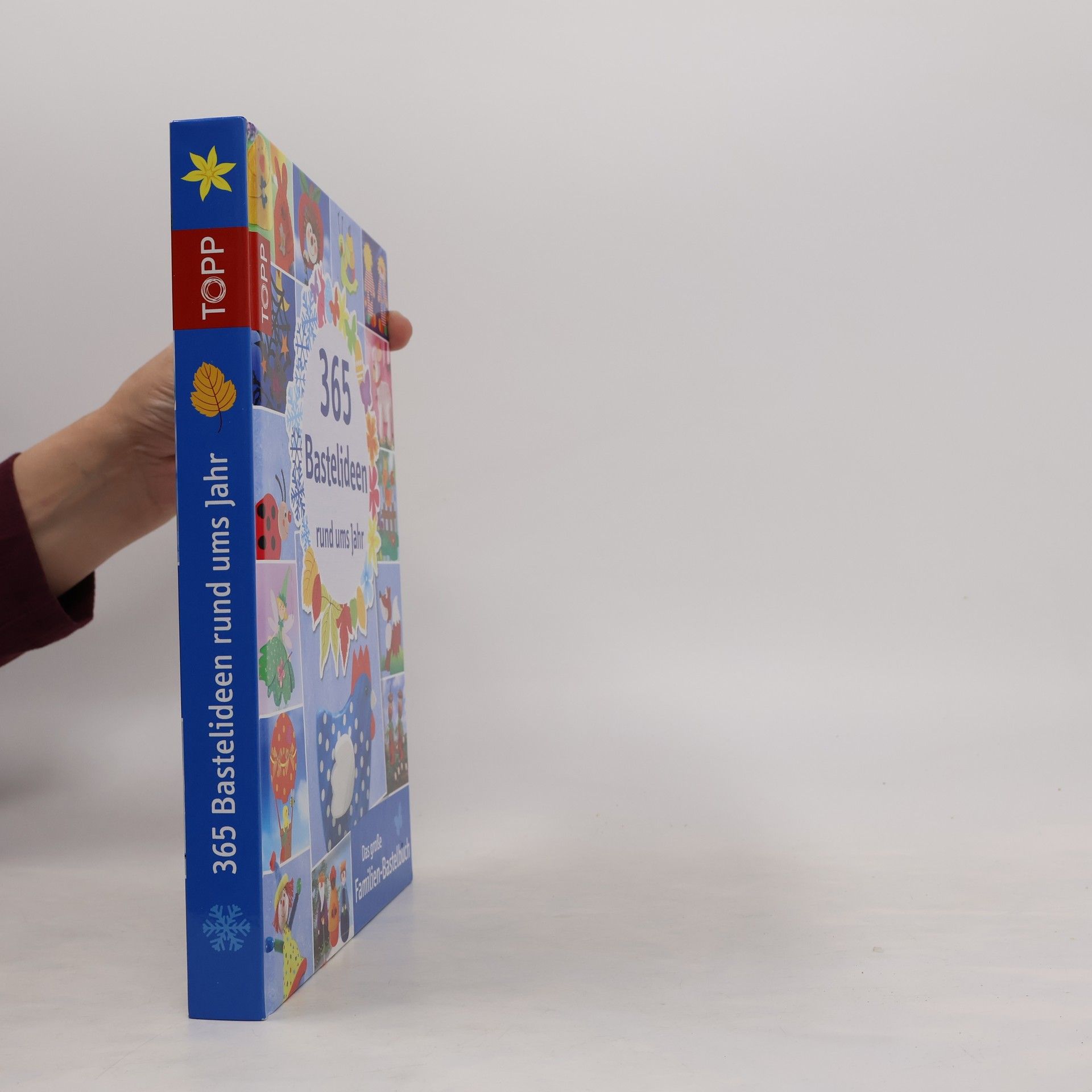 Various authors 365 Bastelideen rund ums Jahr
