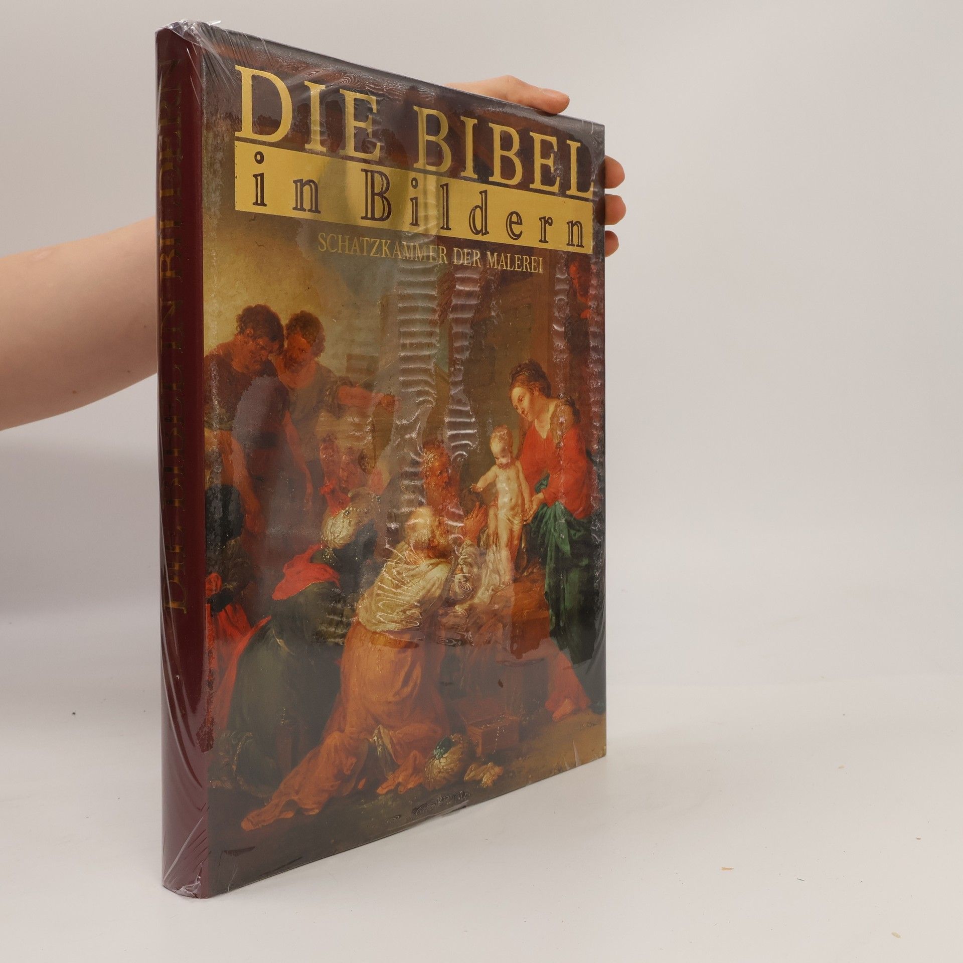 Autorenkollektiv Die Bibel in Bildern. Schatzkammer der Malerei