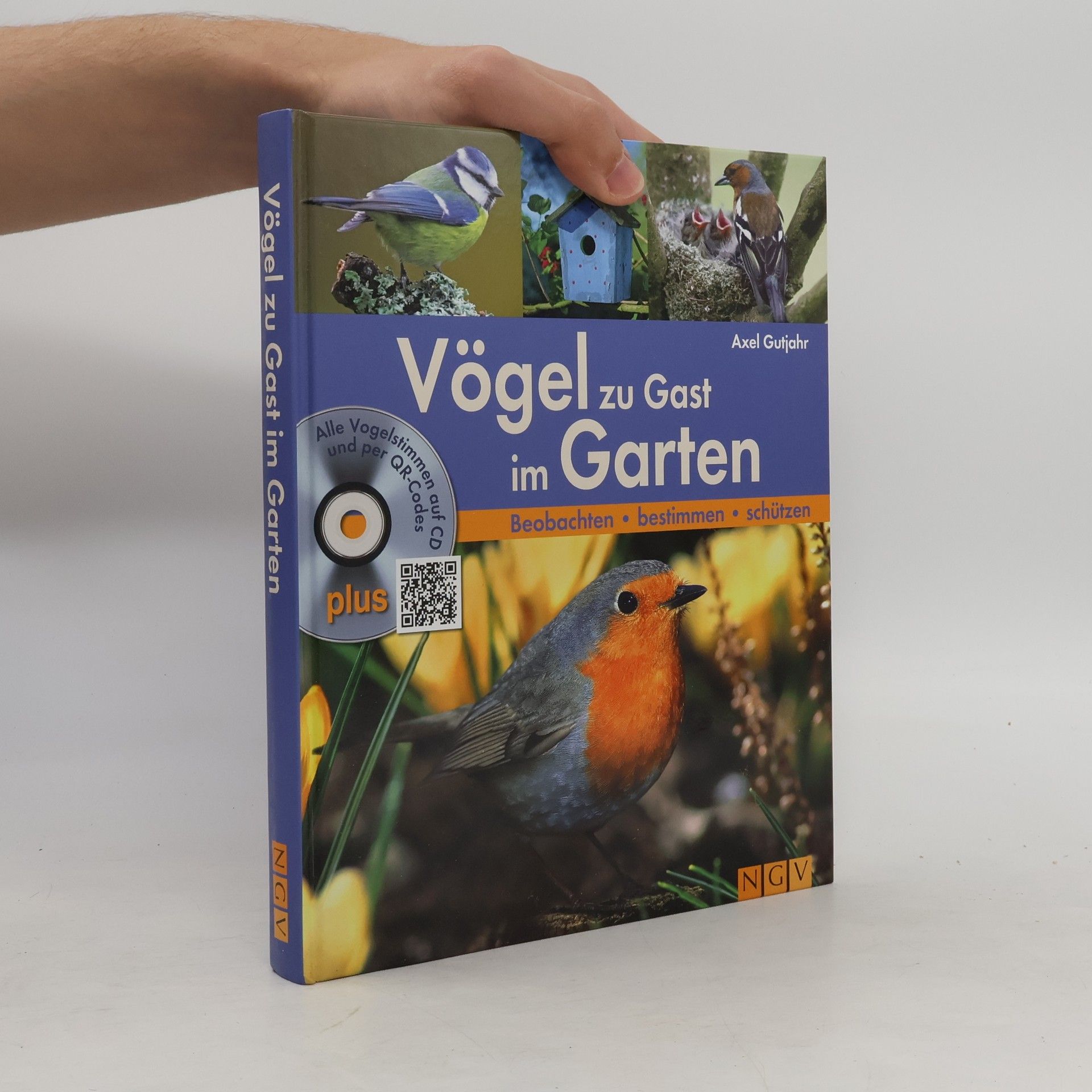 Autorenkollektiv Vögel zu Gast im Garten