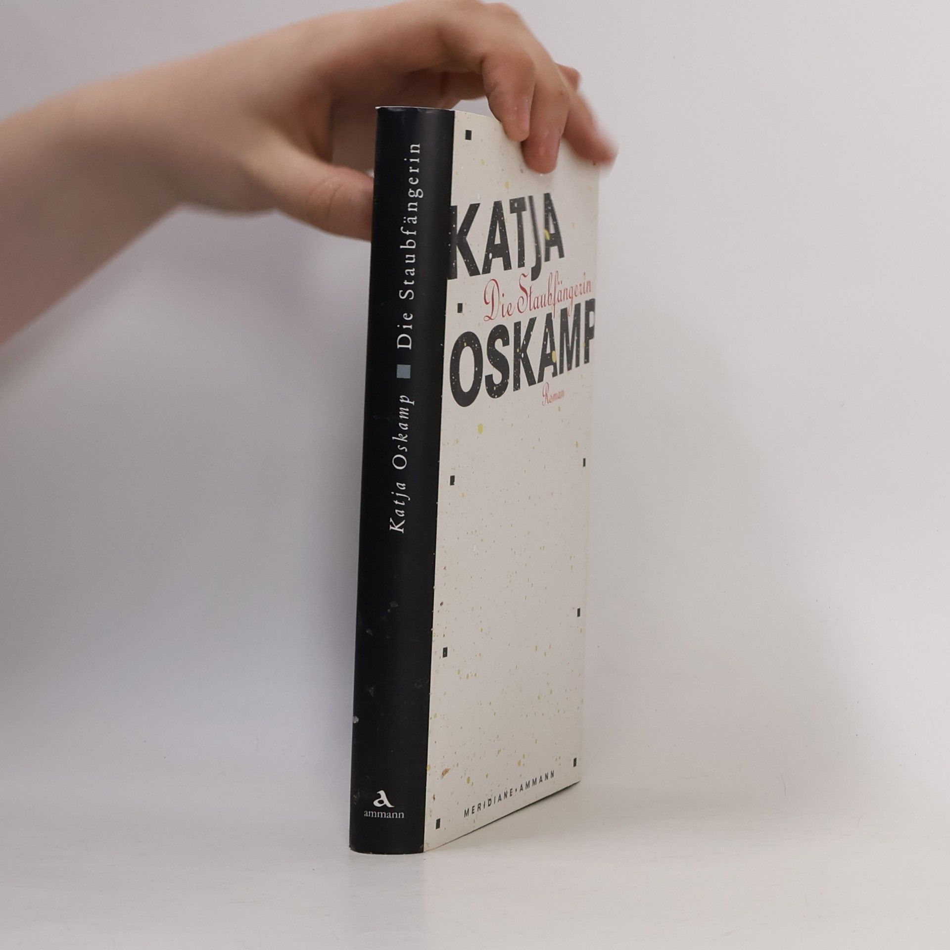 Katja Oskamp Die Staubfängerin