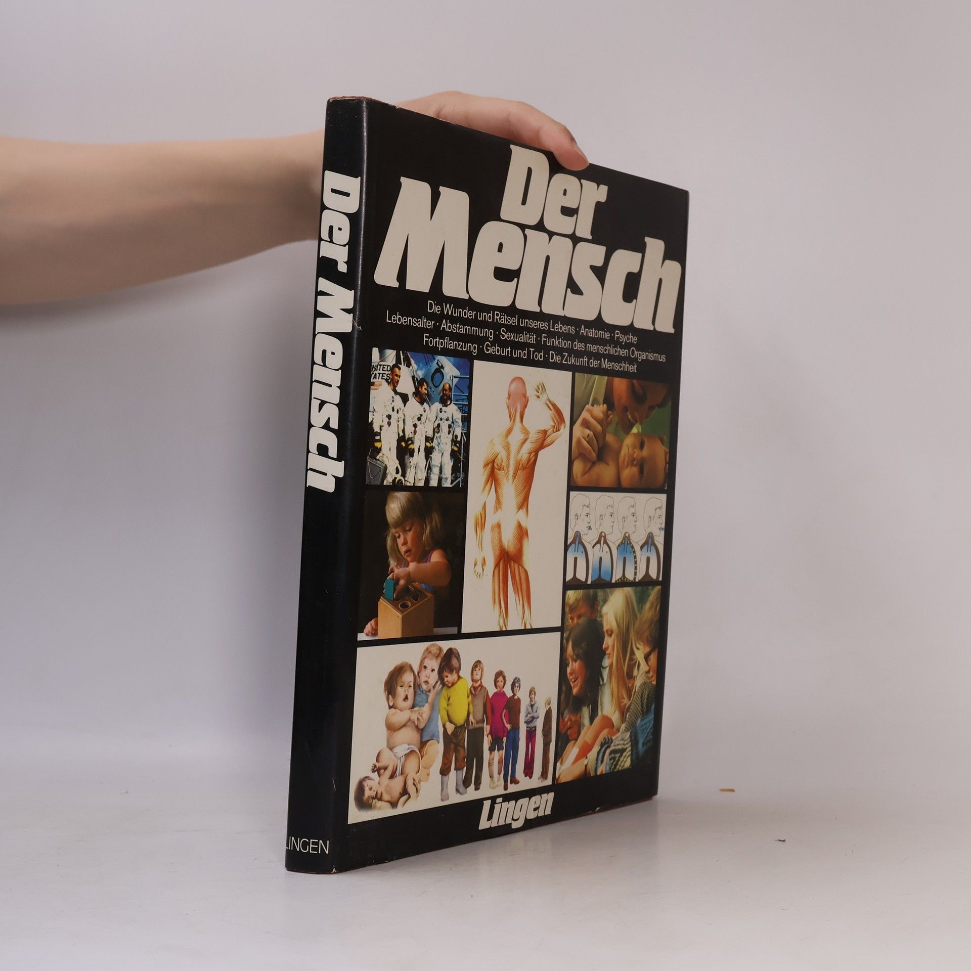 Various authors Der Mensch