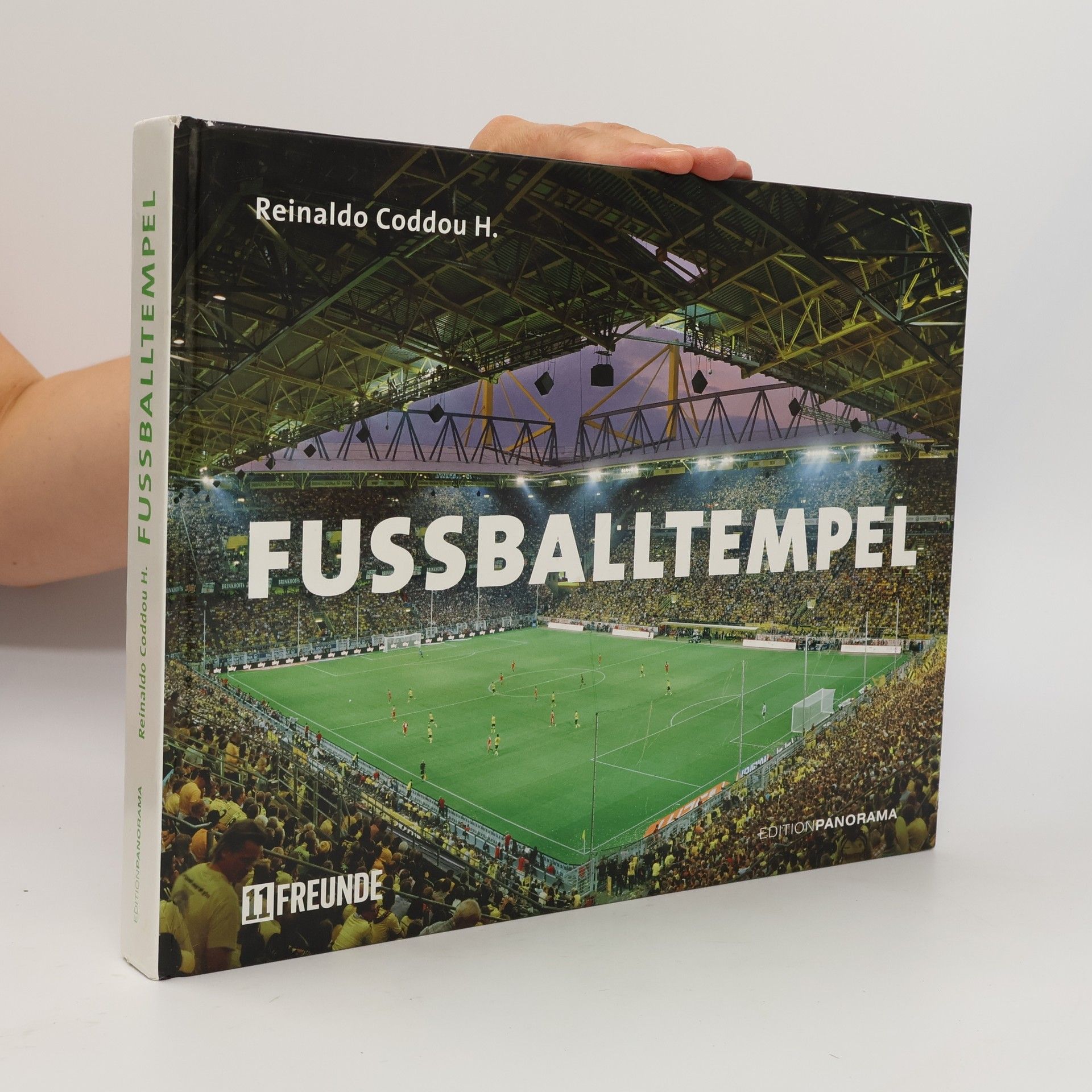 Reinaldo Coddou H. Fussballtempel