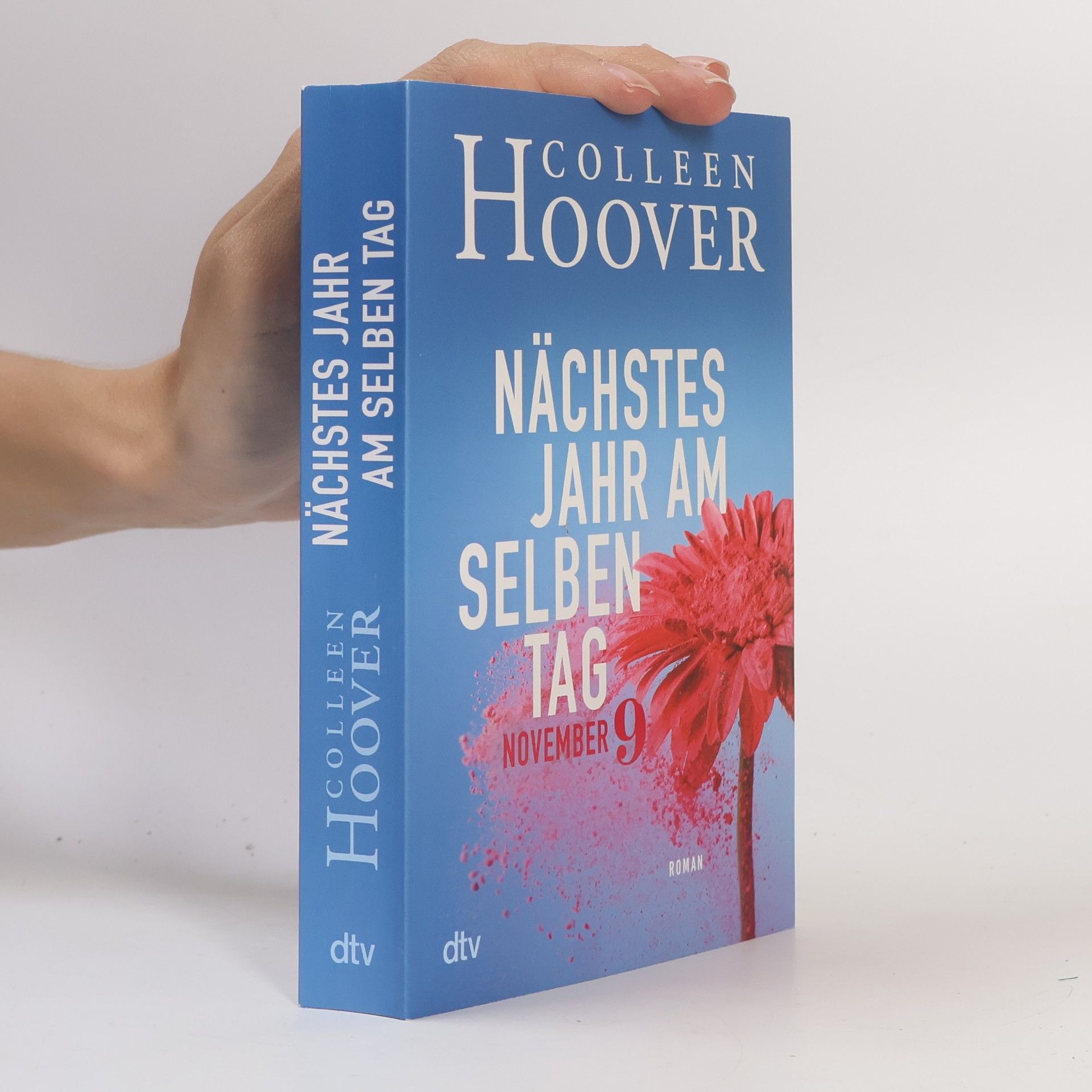 Colleen Hoover Nächstes Jahr am selben Tag