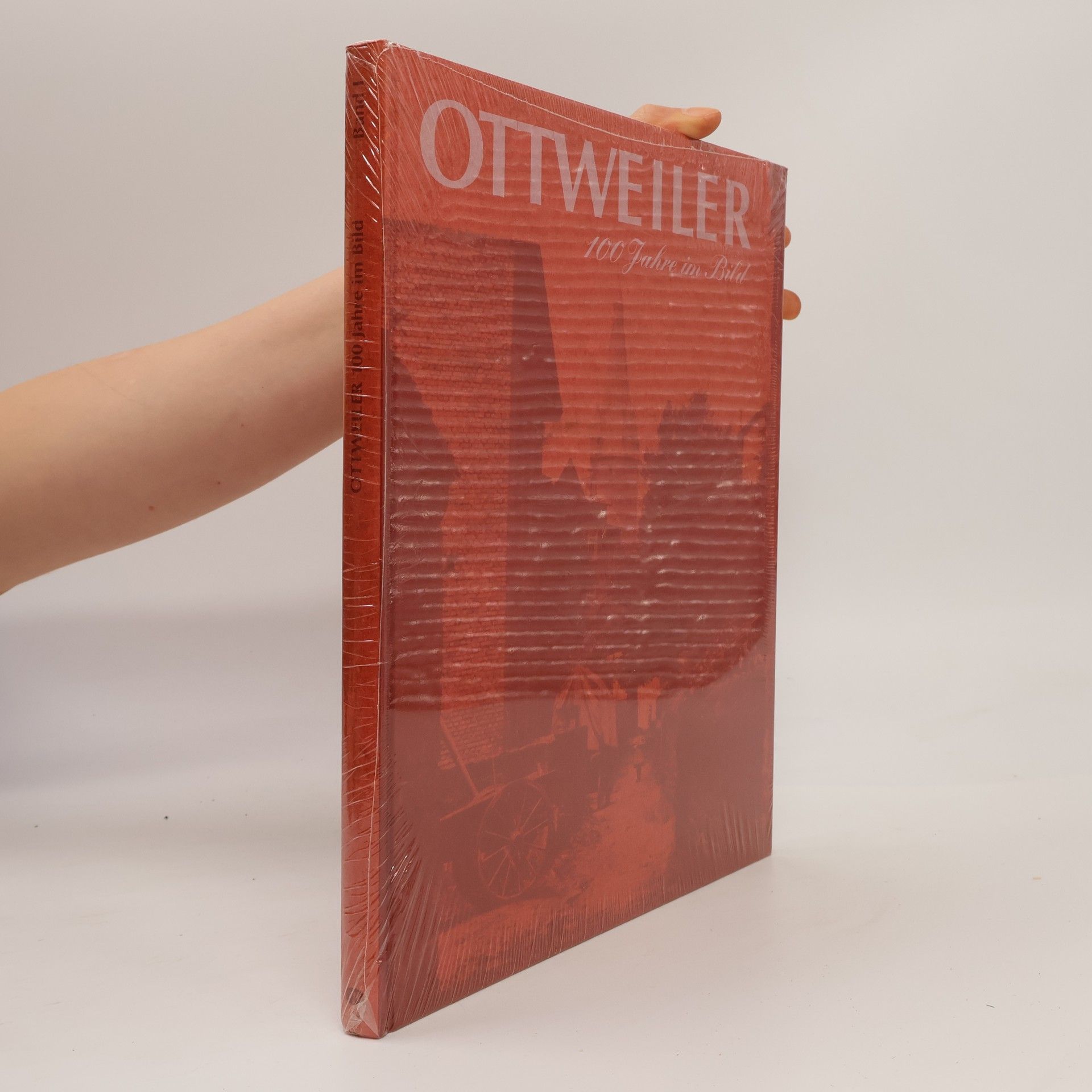 Autorenkollektiv Ottweiler. 100 Jahre im Bild