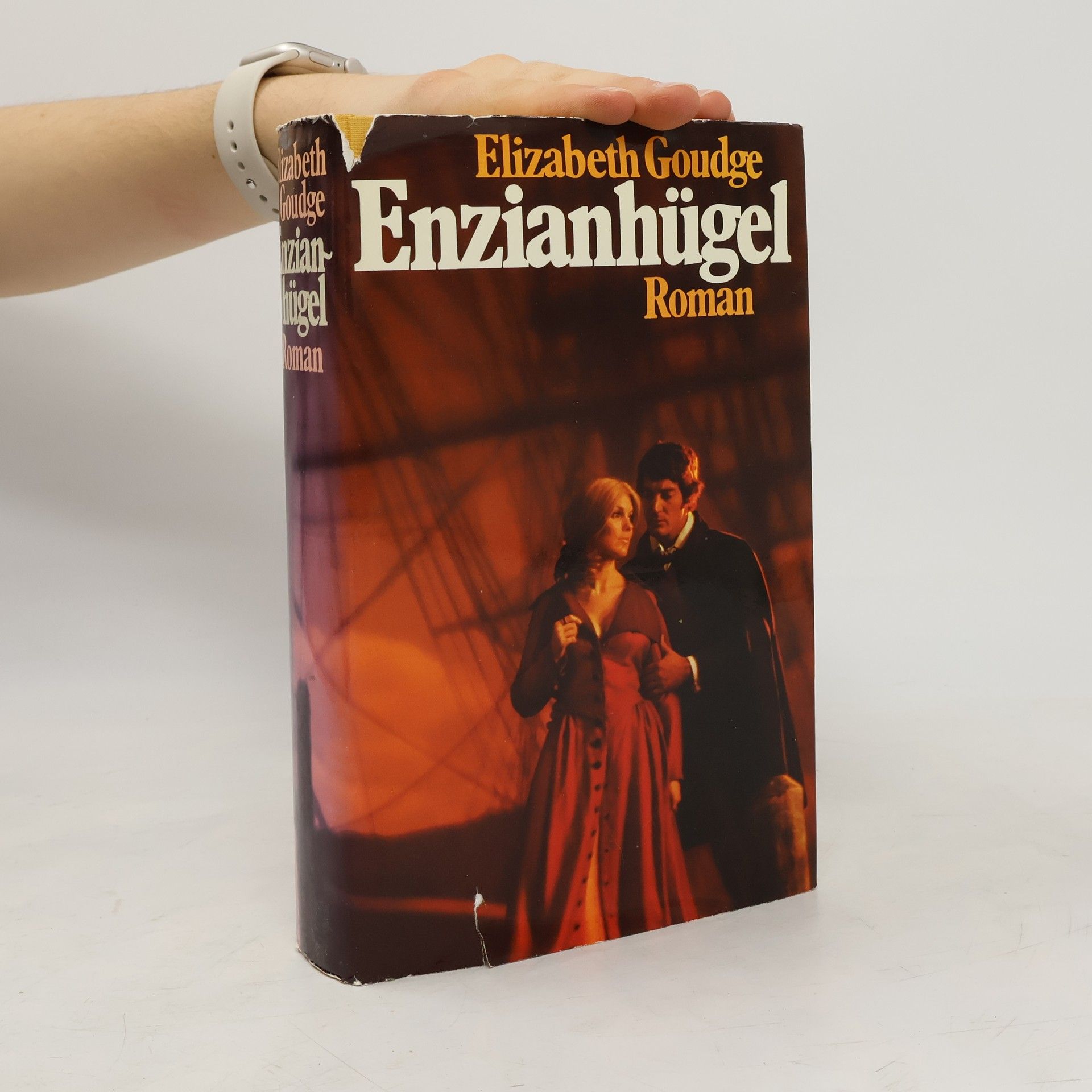 Elizabeth Goudge Enzianhügel