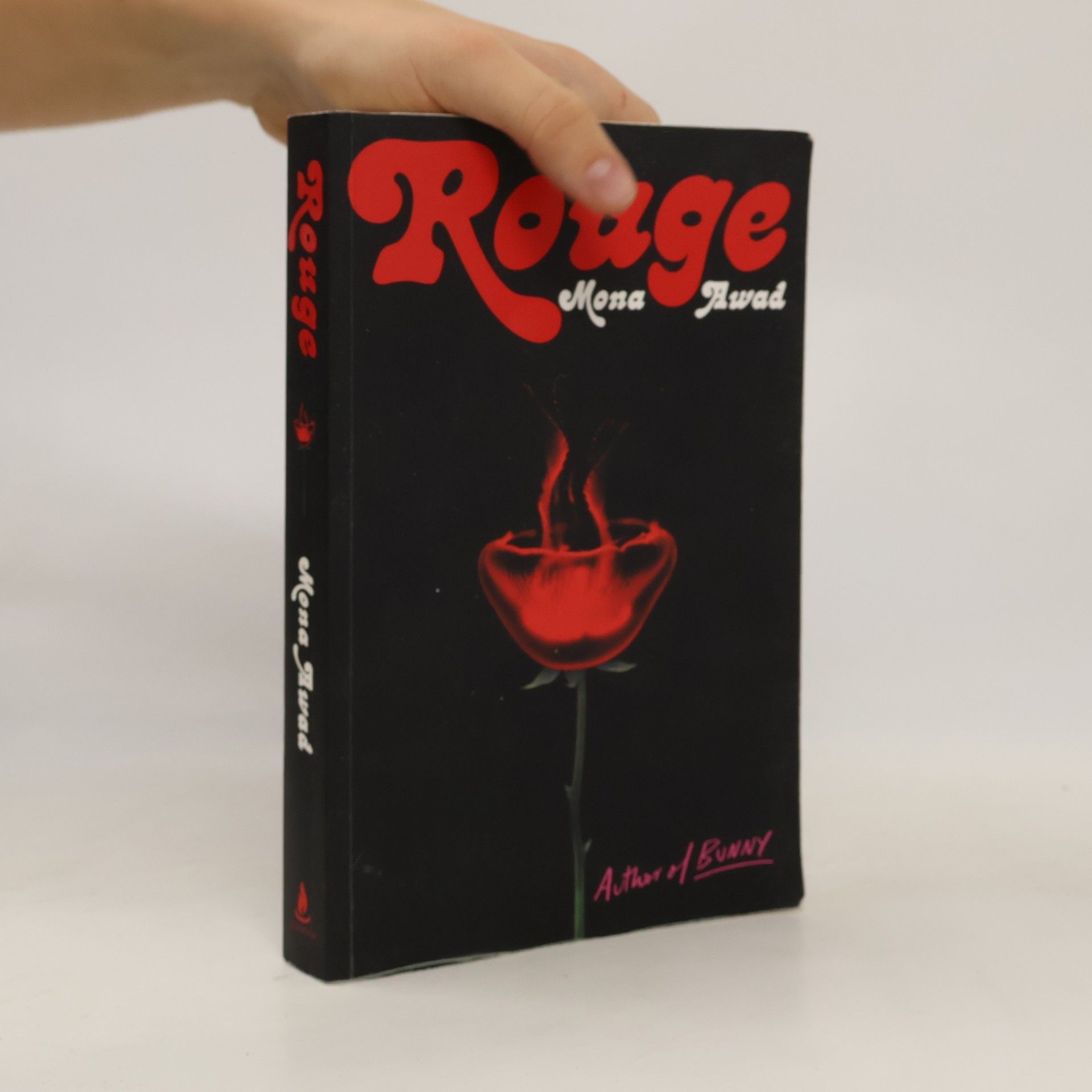 Mona Awad Rouge