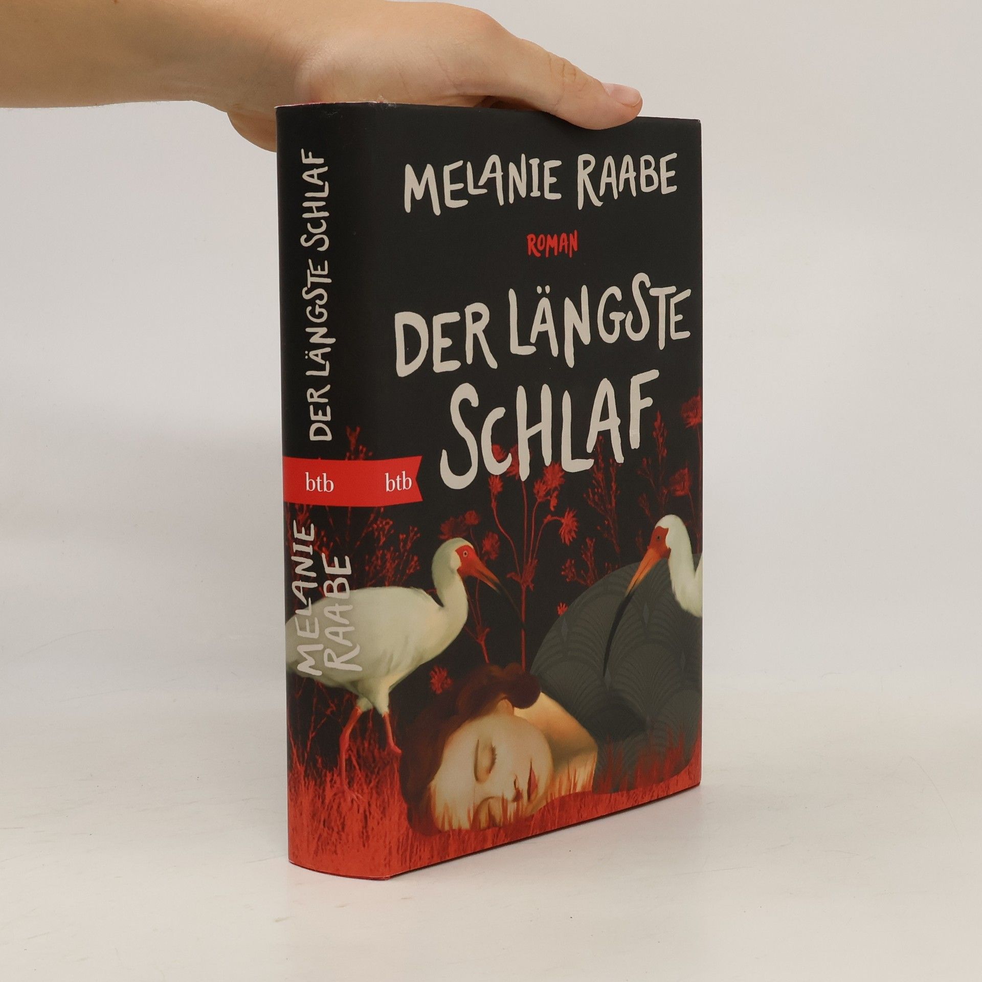 Melanie Raabe Der längste Schlaf. Roman