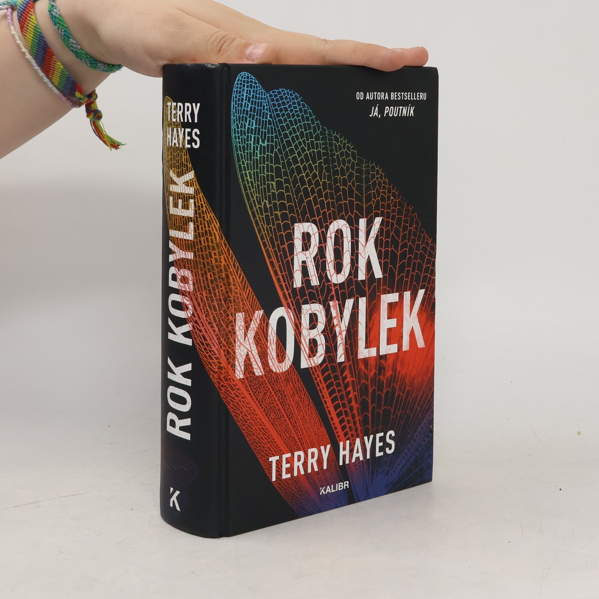 Terry Hayes Rok kobylek