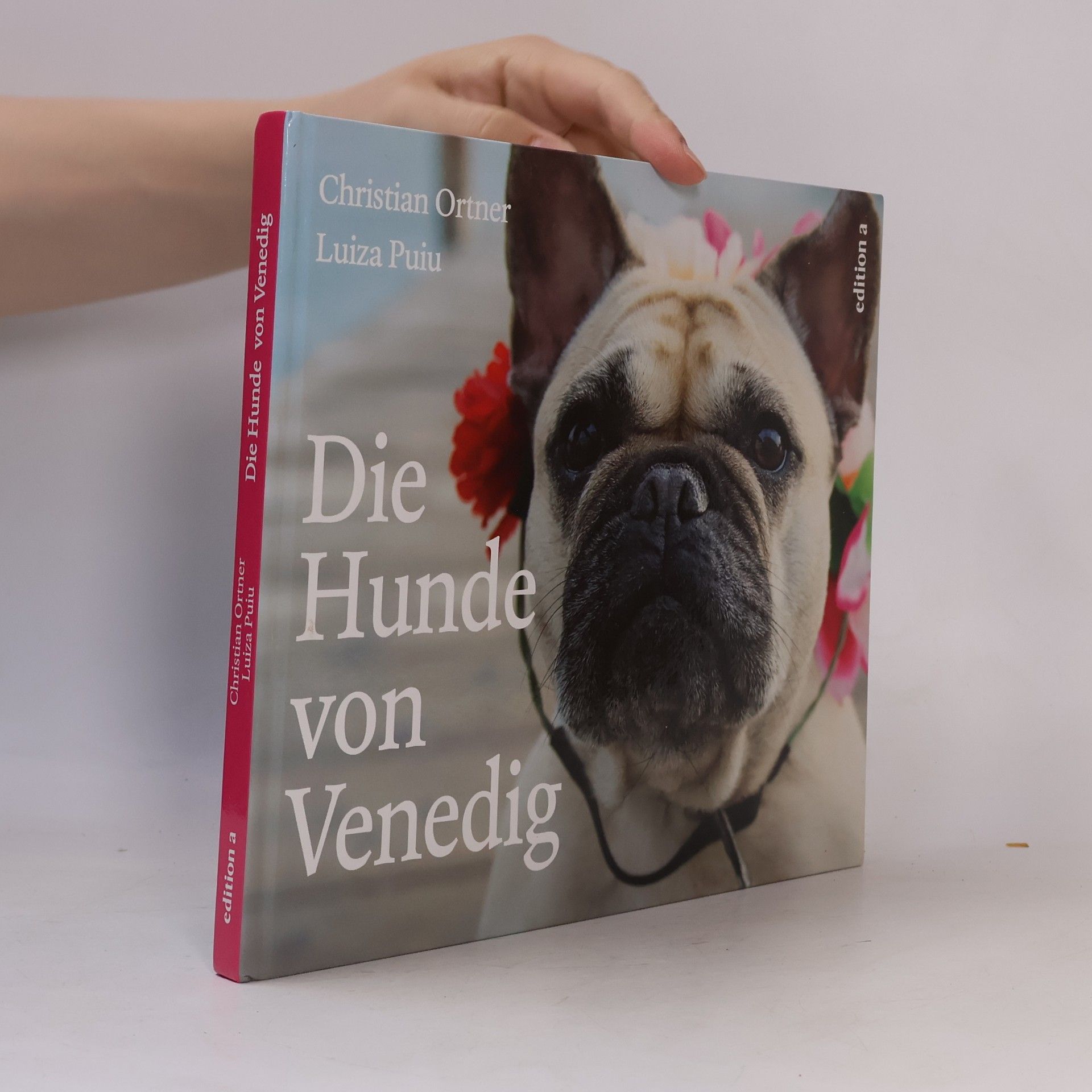Mario Christian Ortner Die Hunde von Venedig
