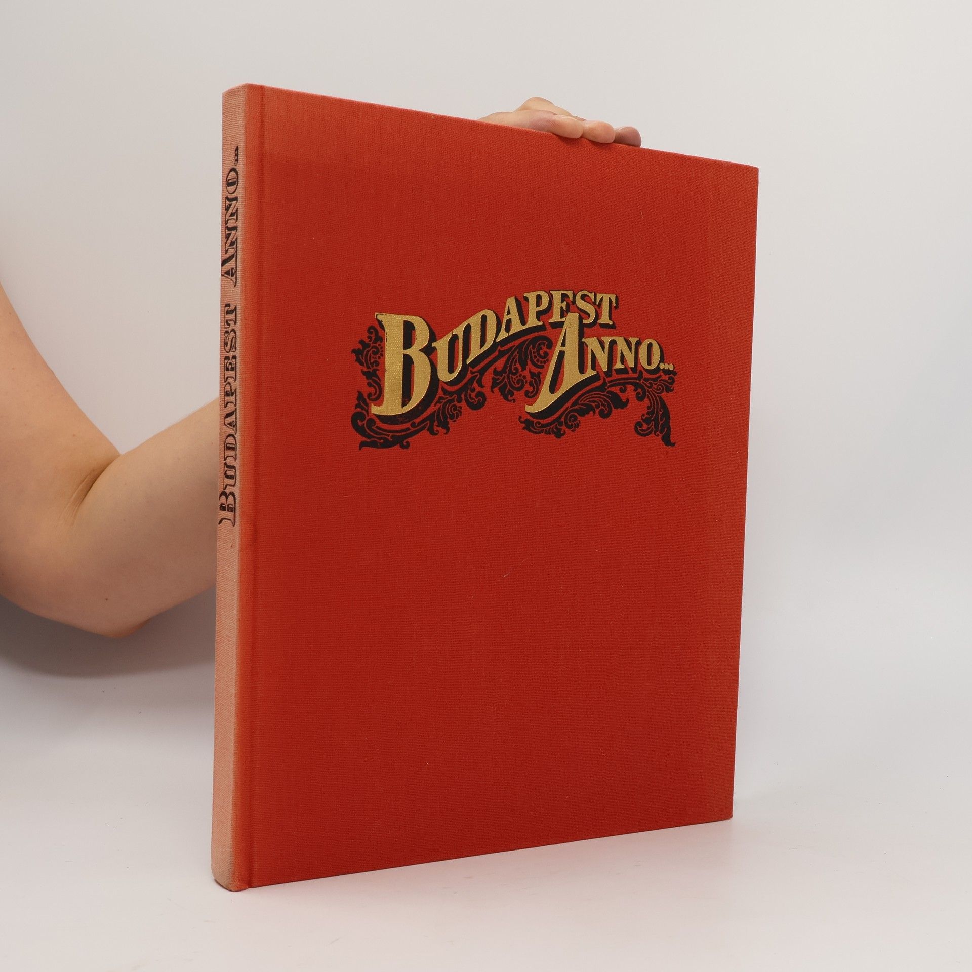 Autores varios Budapest Anno