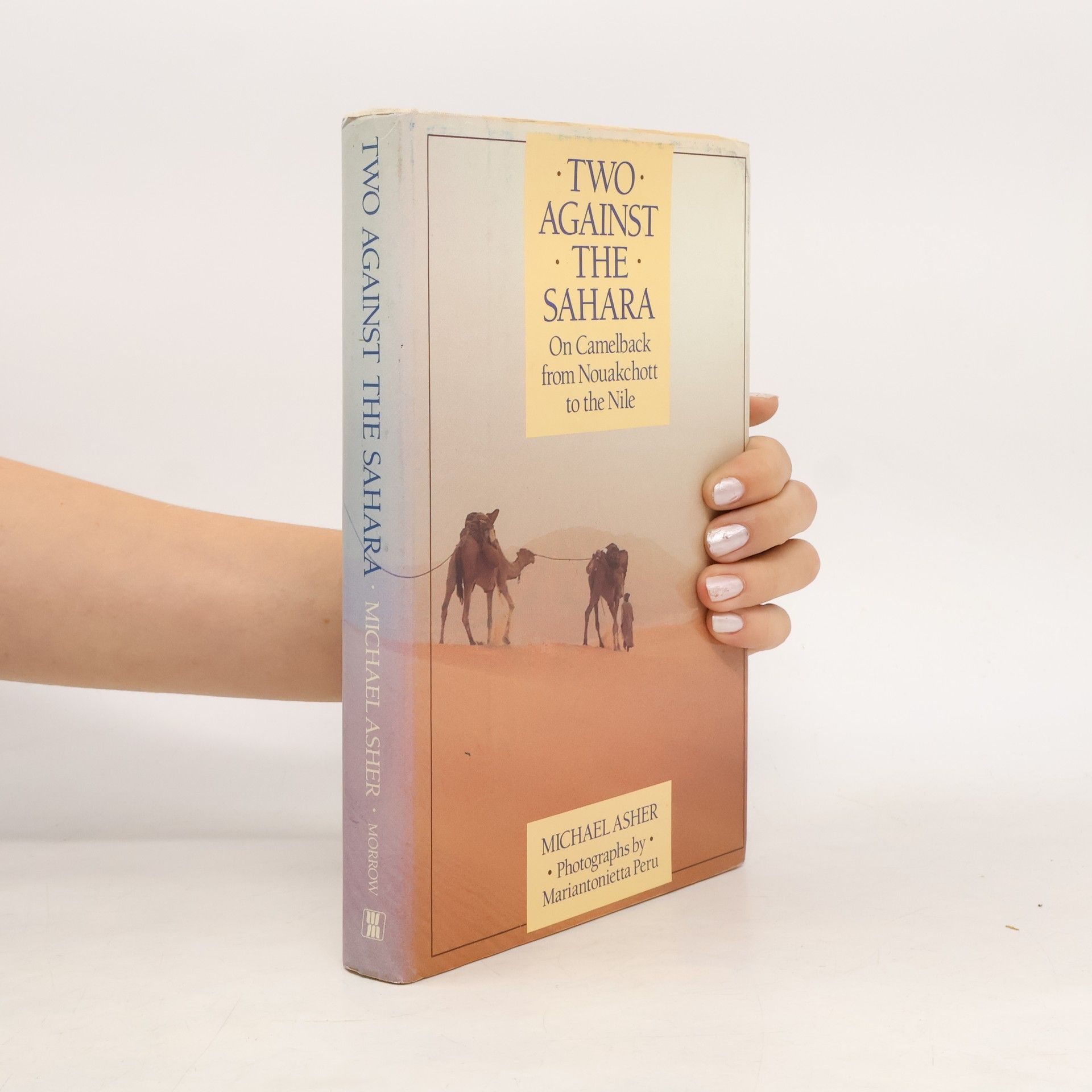 Michael Asher Two Against the Sahara