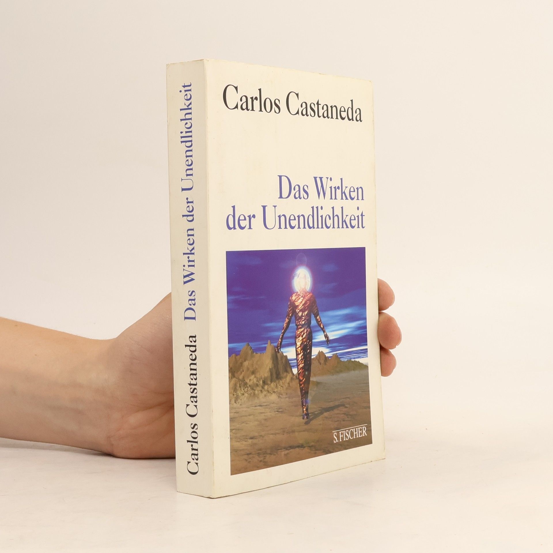 Carlos Castaneda Das Wirken der Unendlichkeit