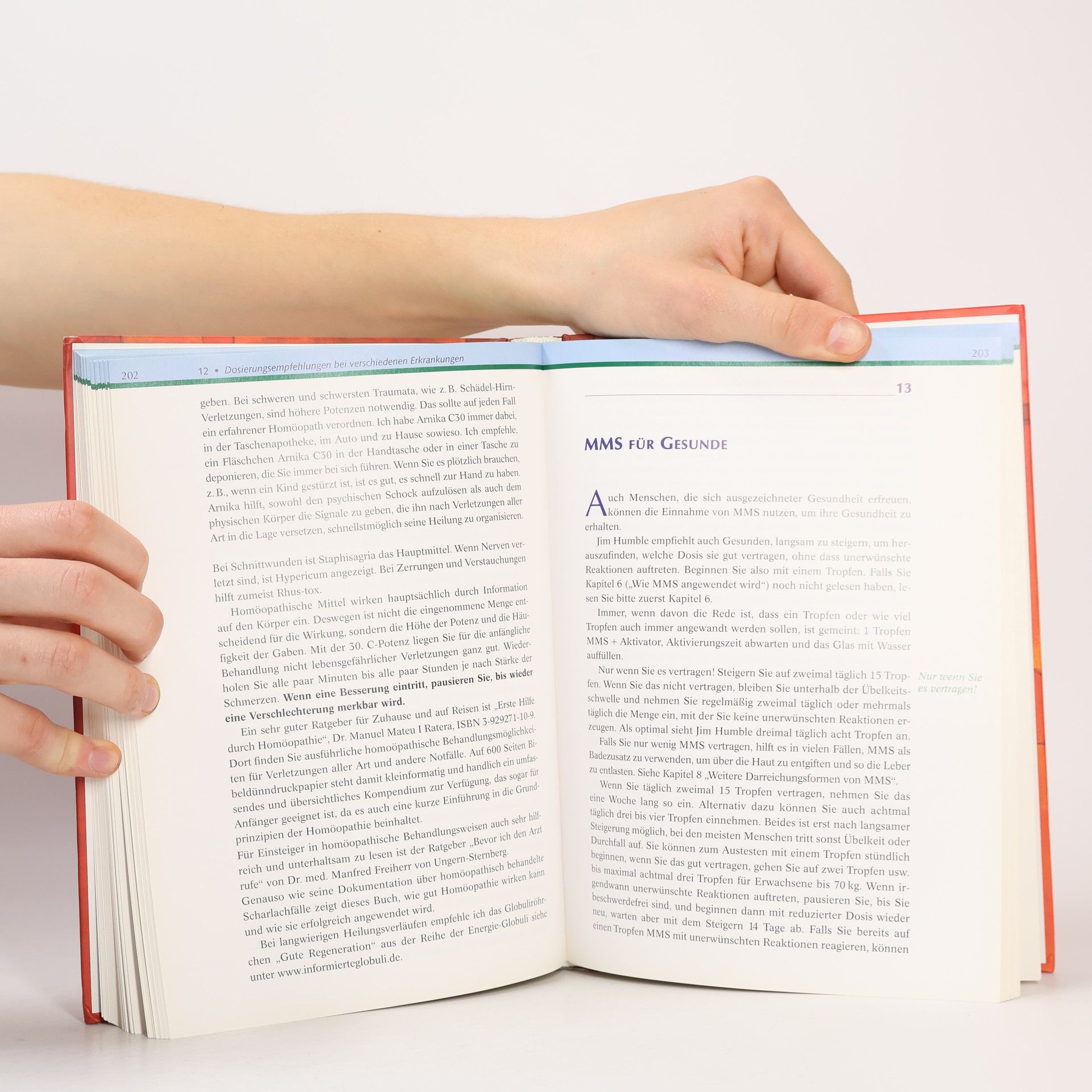 Antje Oswald Das MMS-Handbuch: Gesundheit in eigener Verantwortung