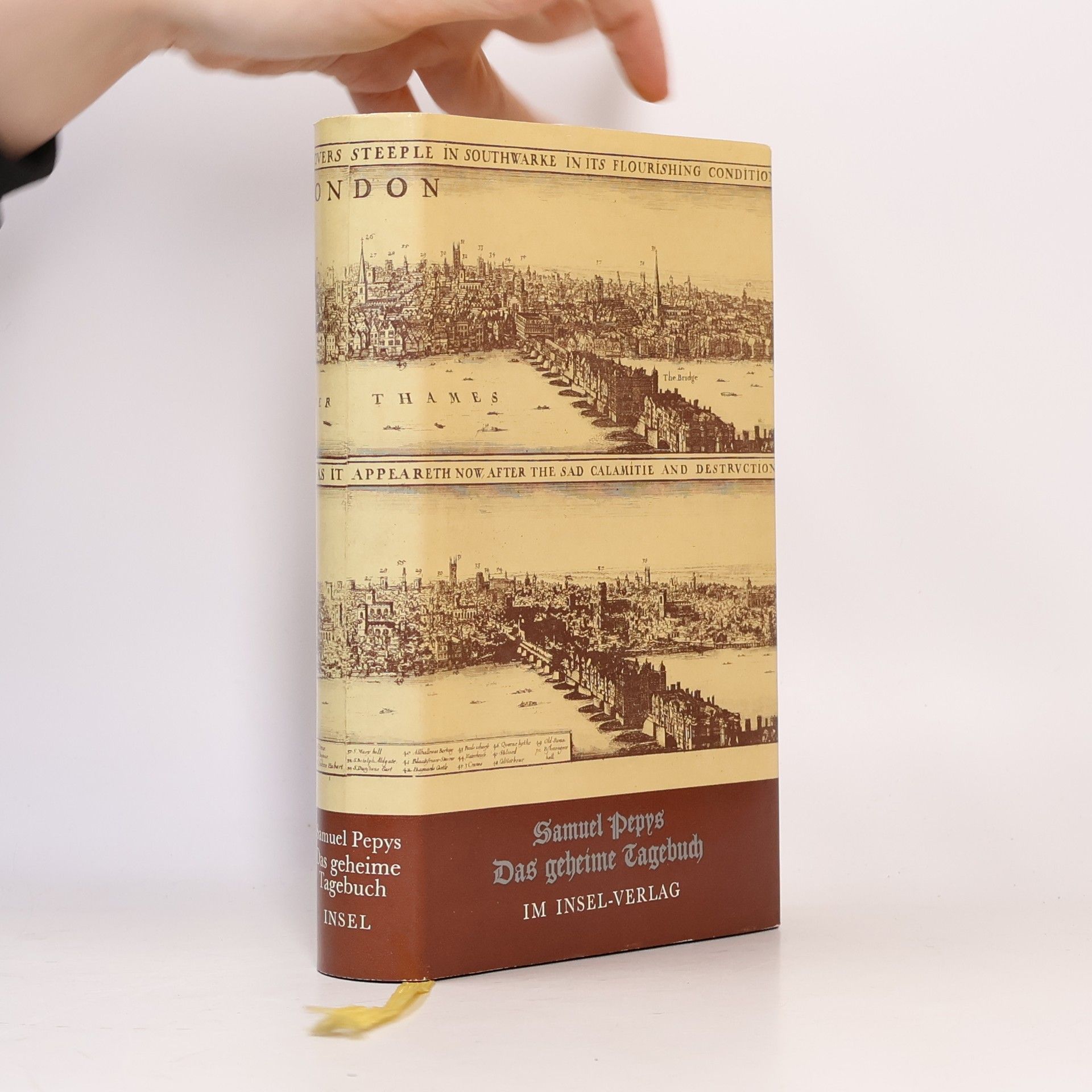 Samuel Pepys Das geheime Tagebuch