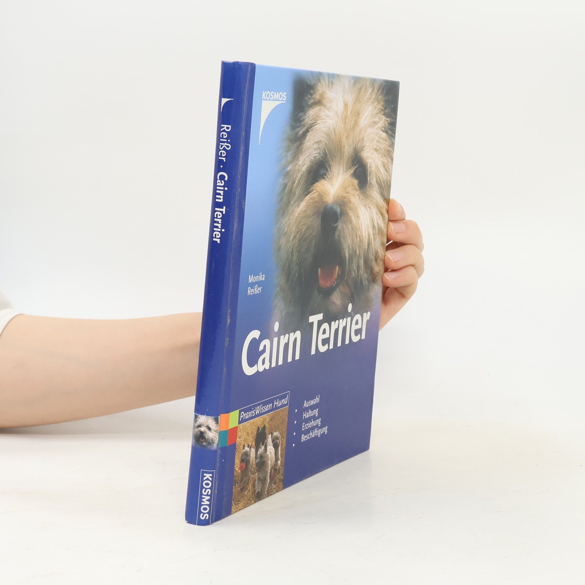 Monika Reißer Cairn-Terrier