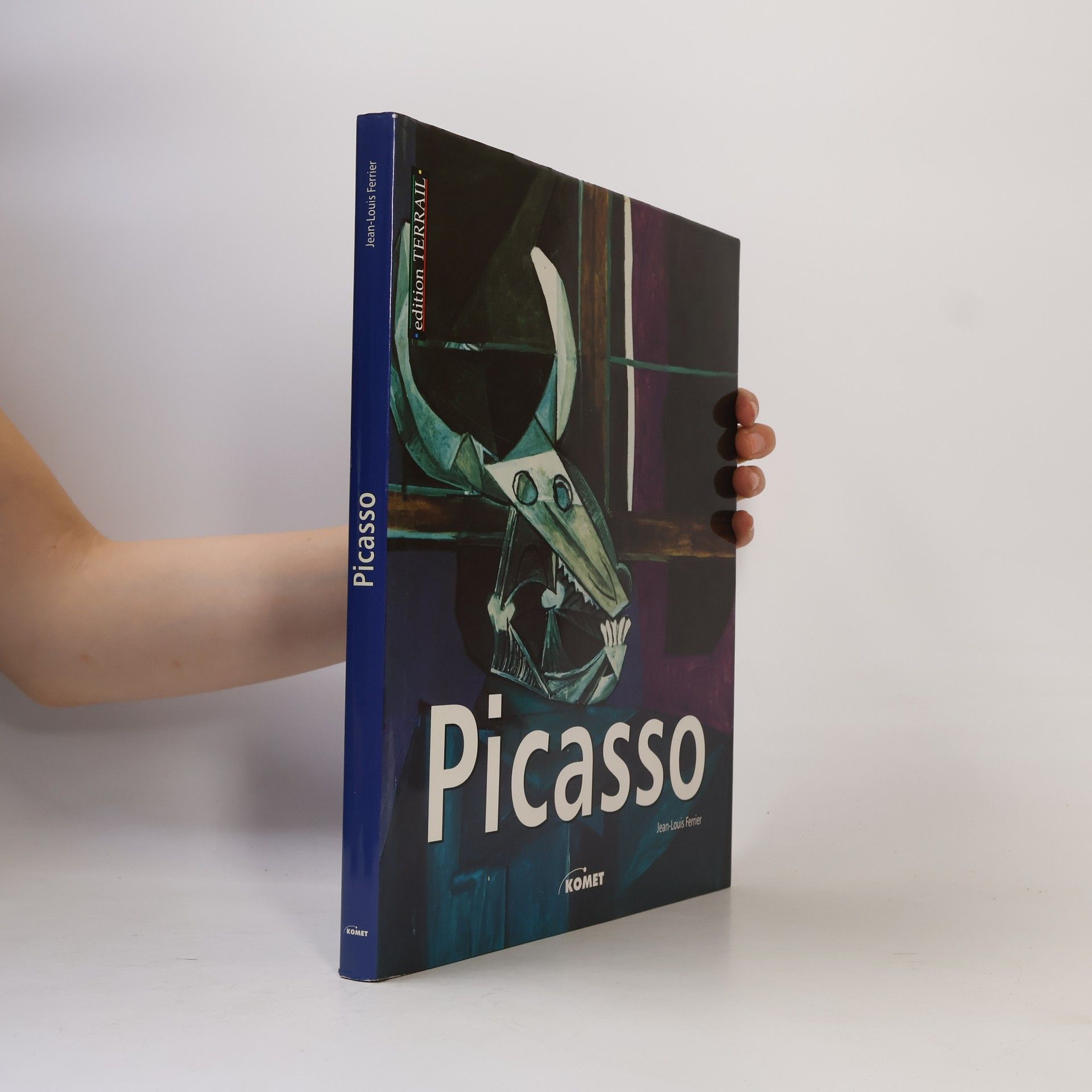 Jean-Louis Ferrier Picasso