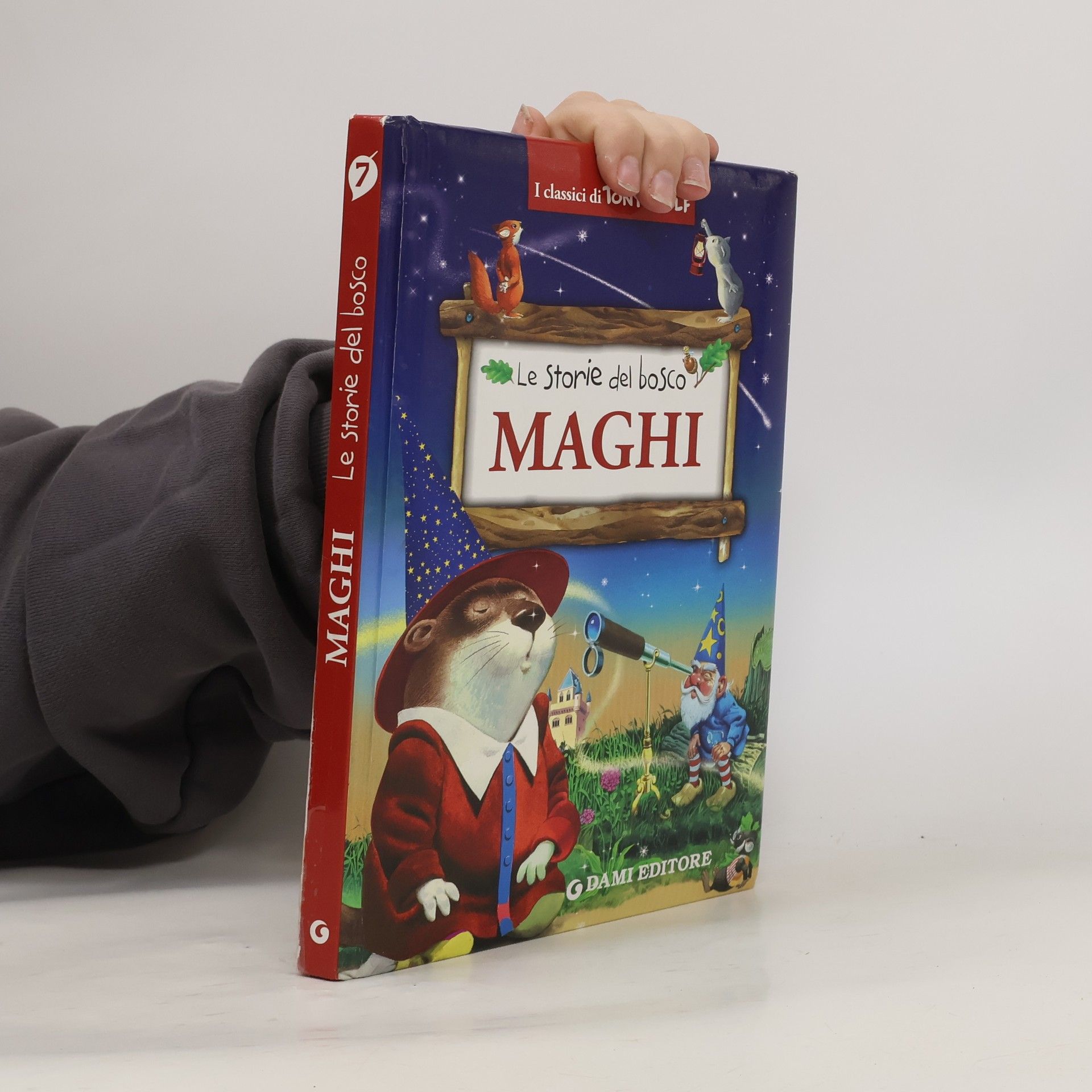 Maghi