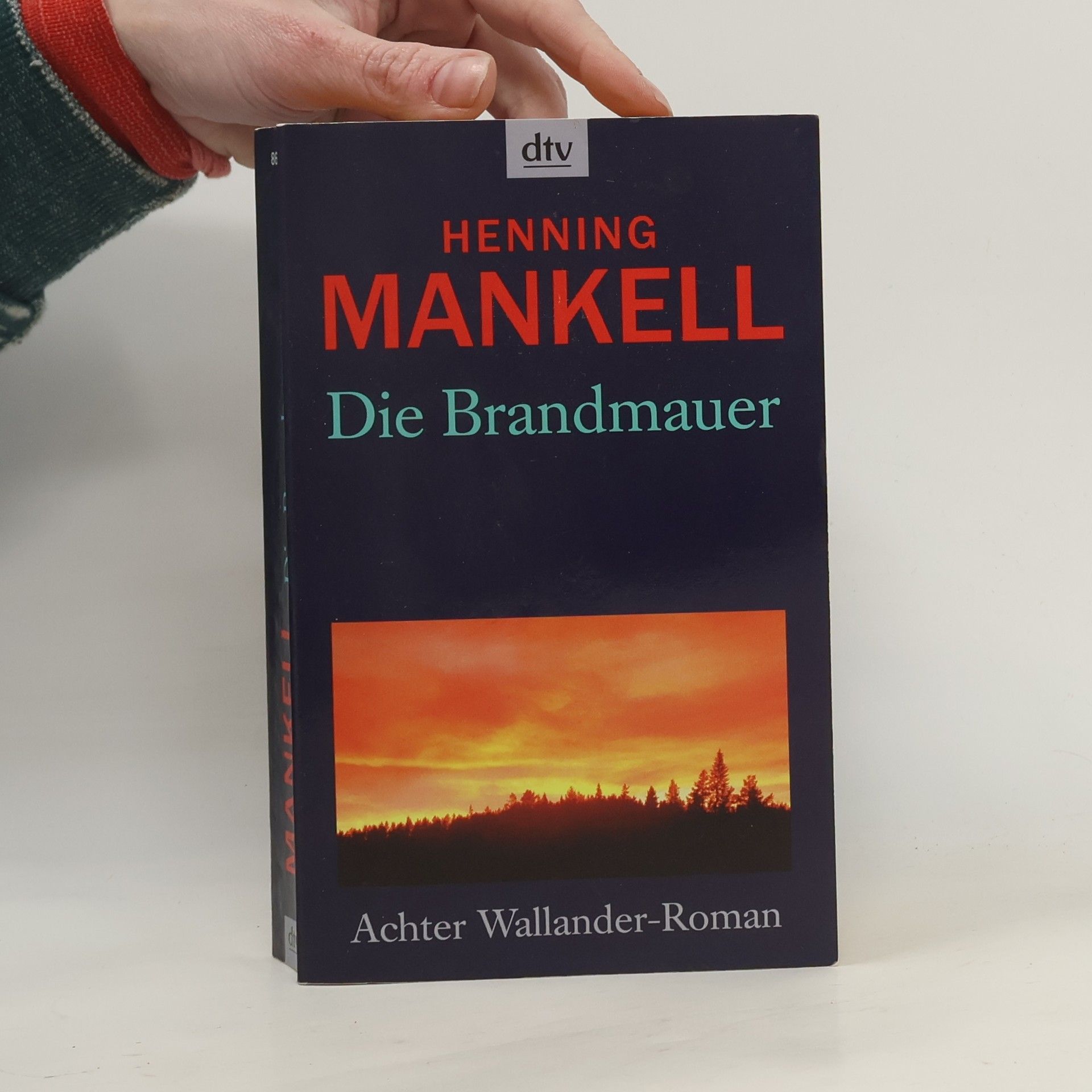 Henning Mankell Die Brandmauer