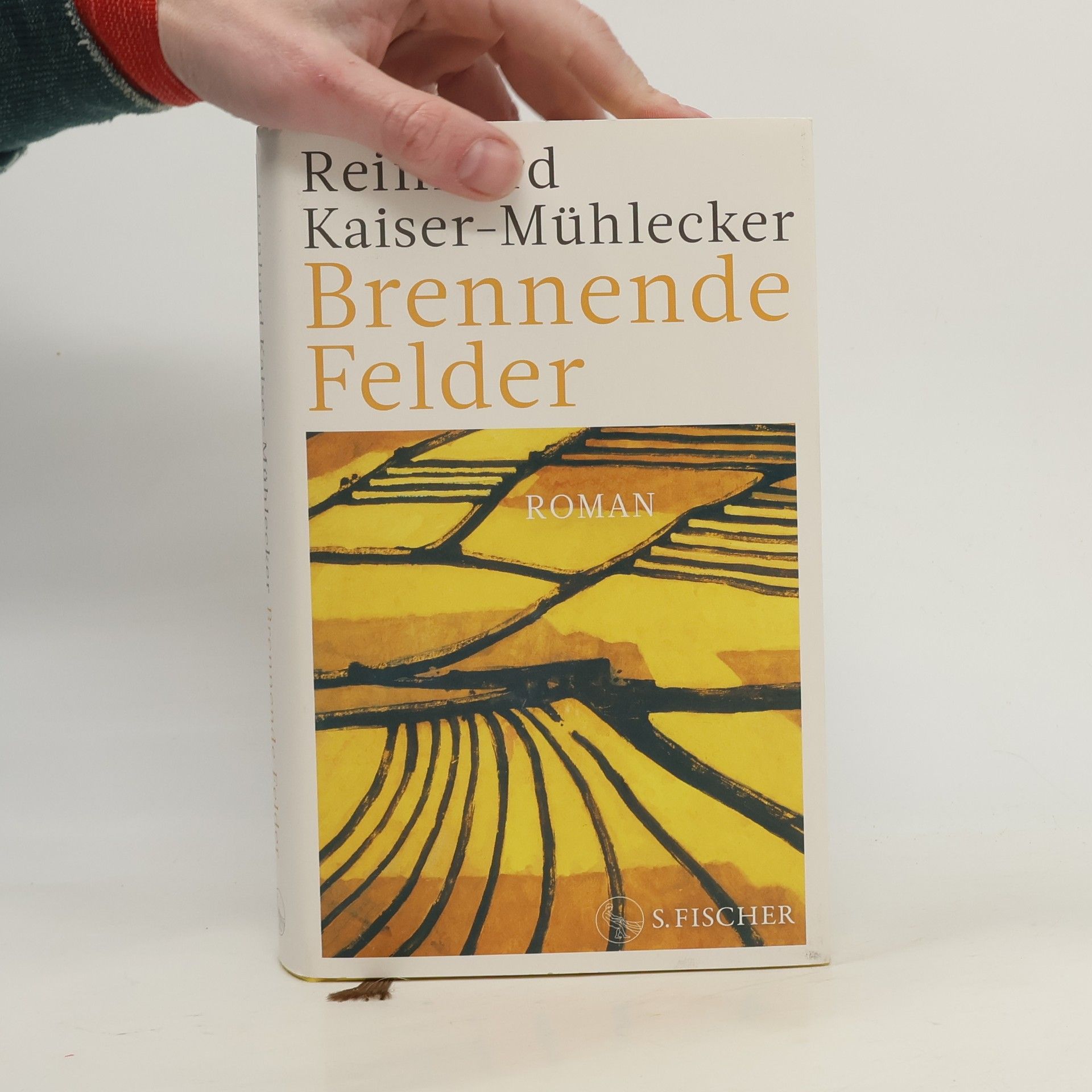 Reinhard Kaiser-Mühlecker Brennende Felder