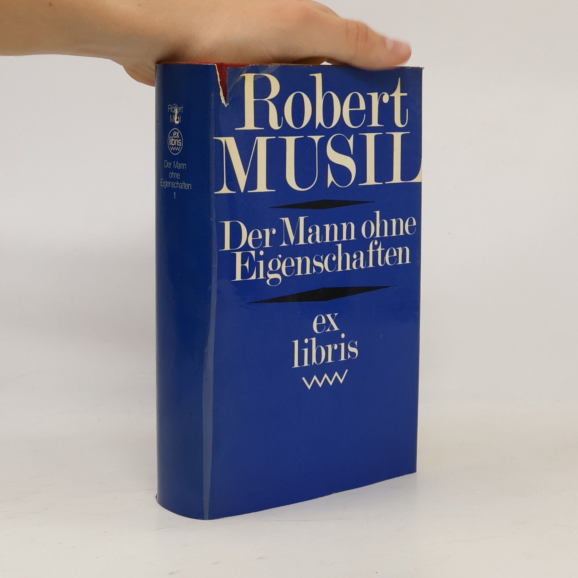 Robert Musil Der Mann ohne Eigenschaften 4