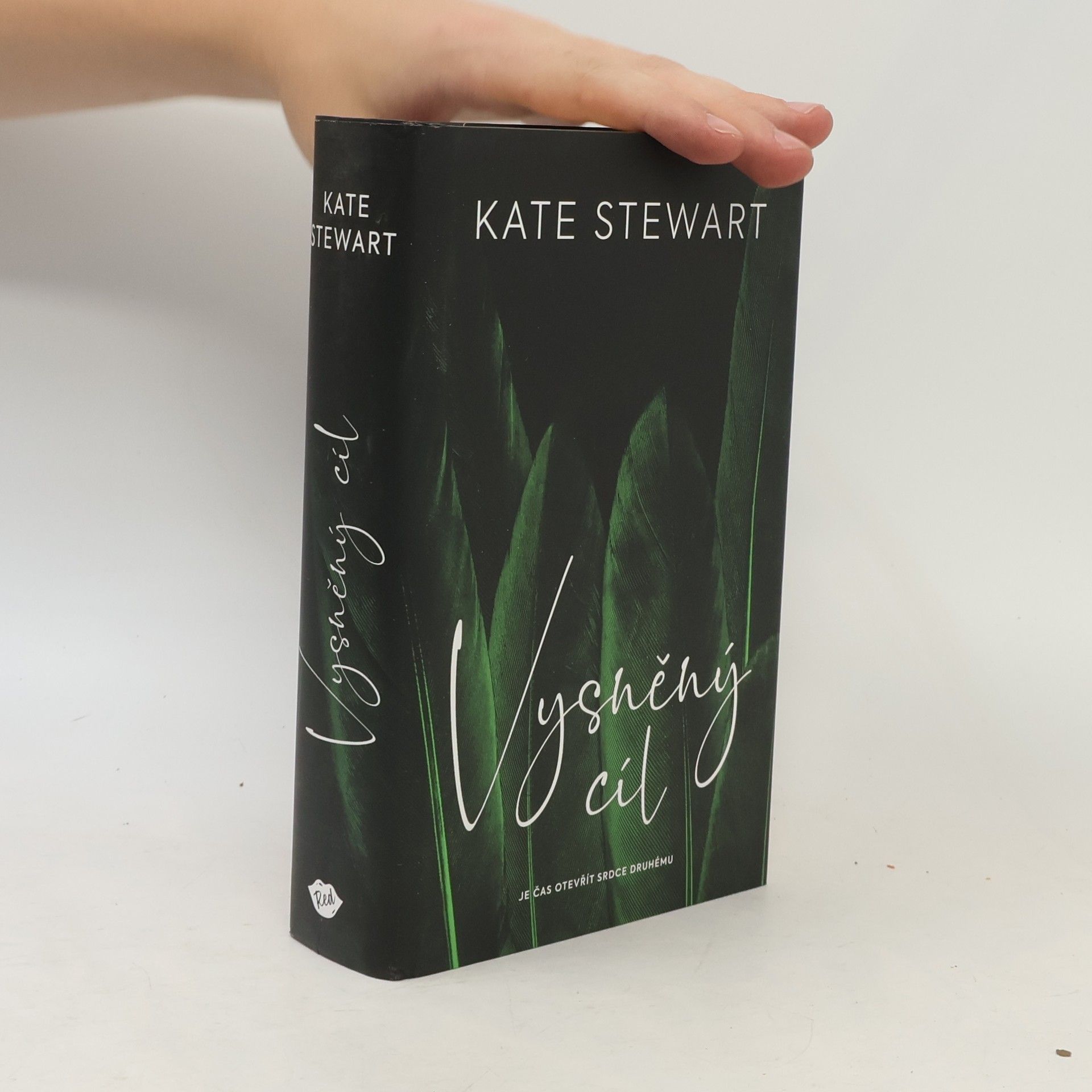 Kate Stewart Vysněný cíl. Kniha třetí