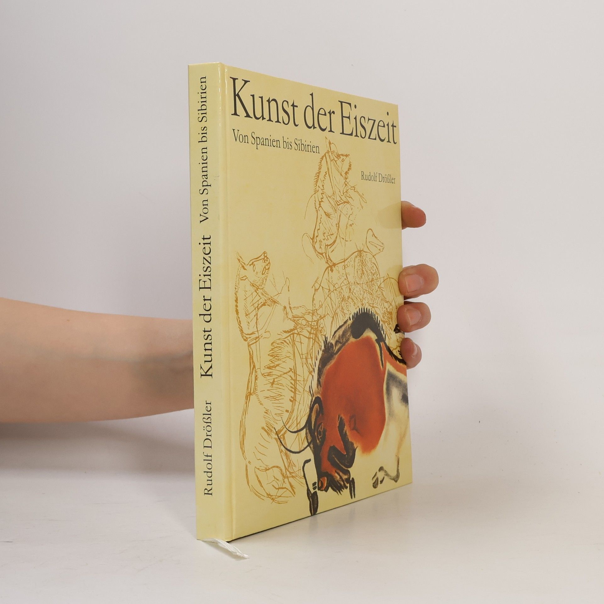 Rudolf Drößler Kunst der Eiszeit