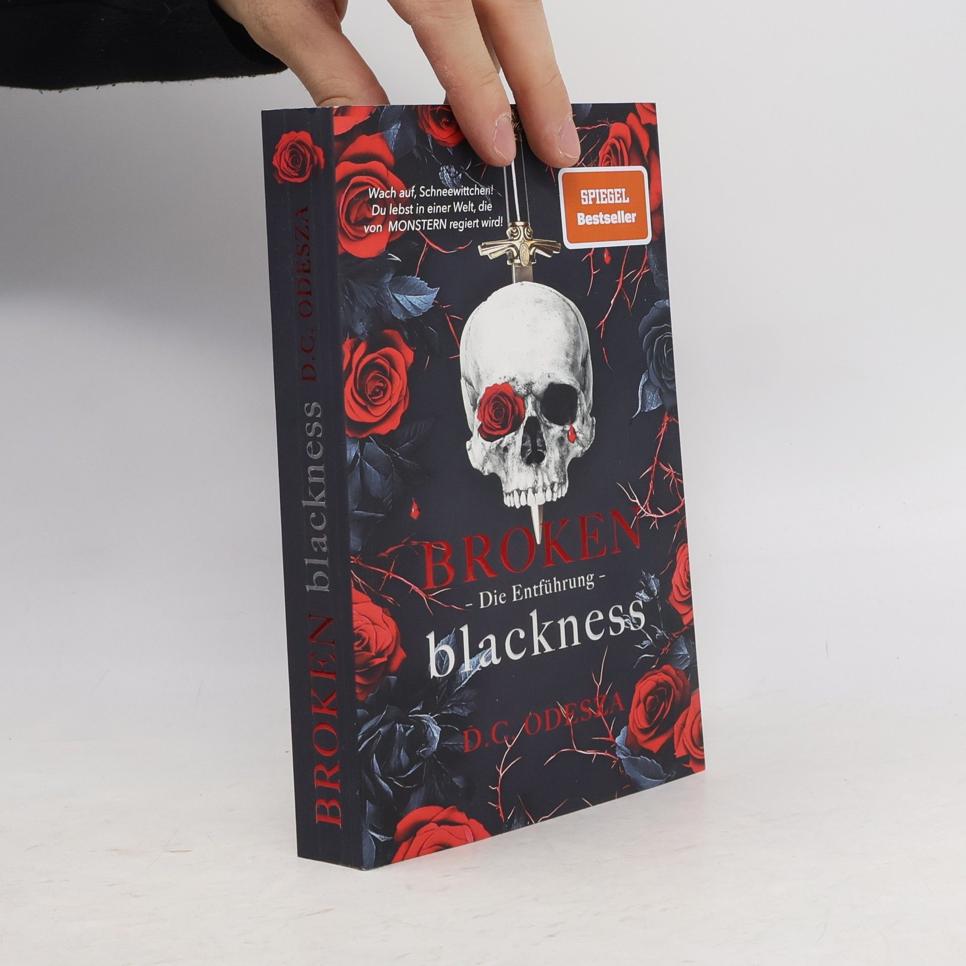 Broken blackness. Die Entführung