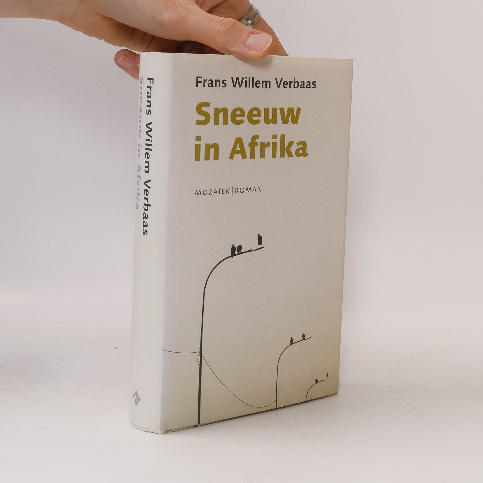 Frans Willem Verbaas Sneeuw in Afrika