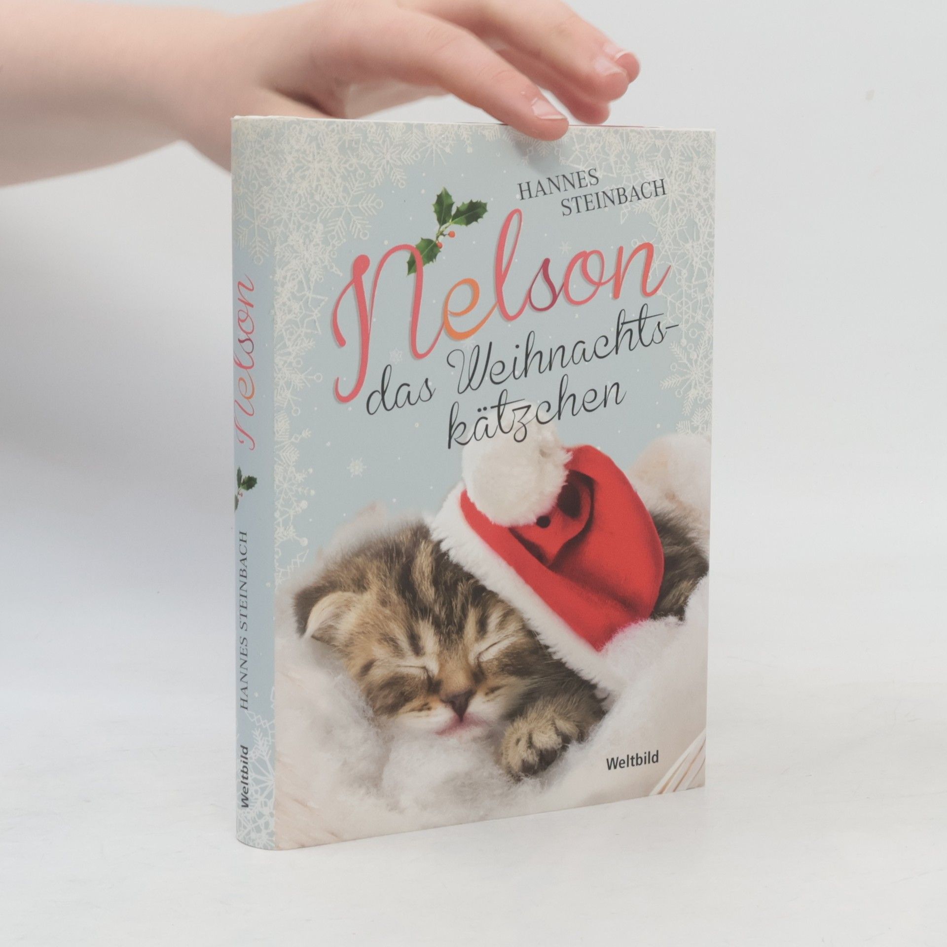 Hannes Steinbach Nelson das Weihnachts-kätzchen