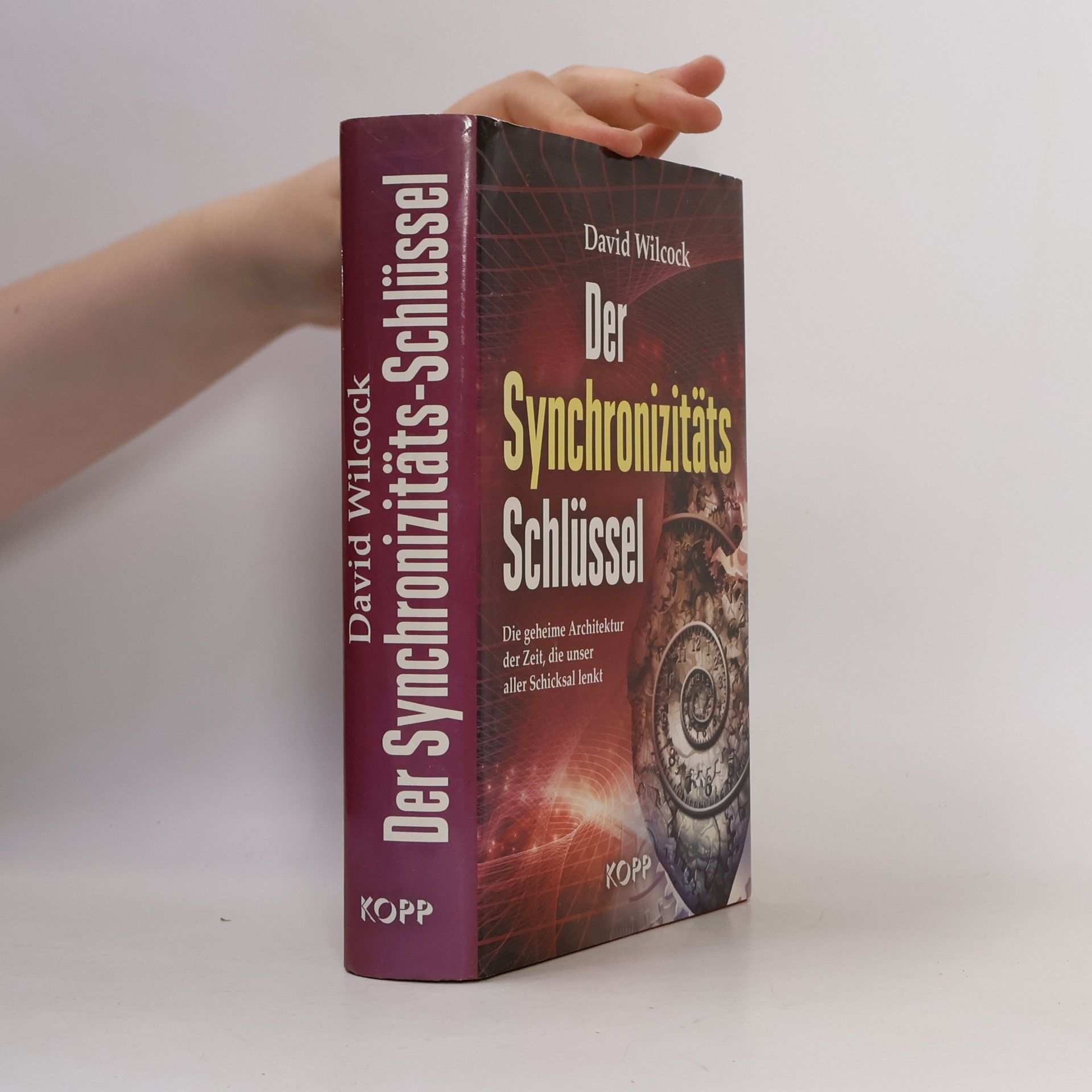 David Wilcock Der Synchronizitäts-Schlüssel