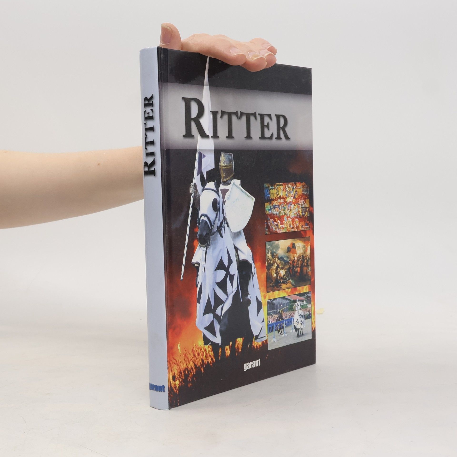 Collectif d'auteurs Ritter