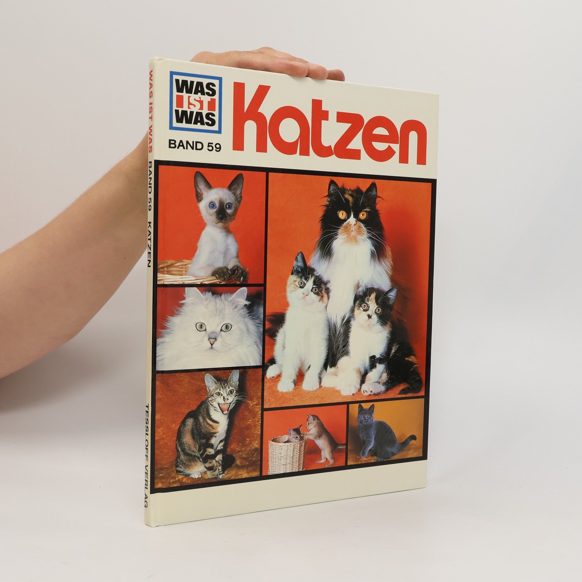 Angela King Katzen
