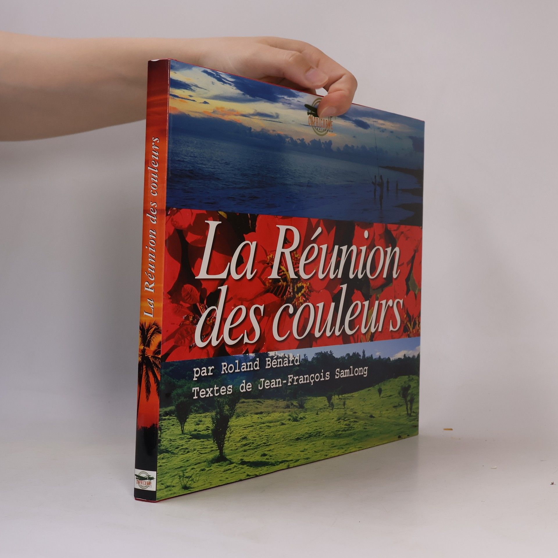 Kolektiv autorů La Réunion des couleurs