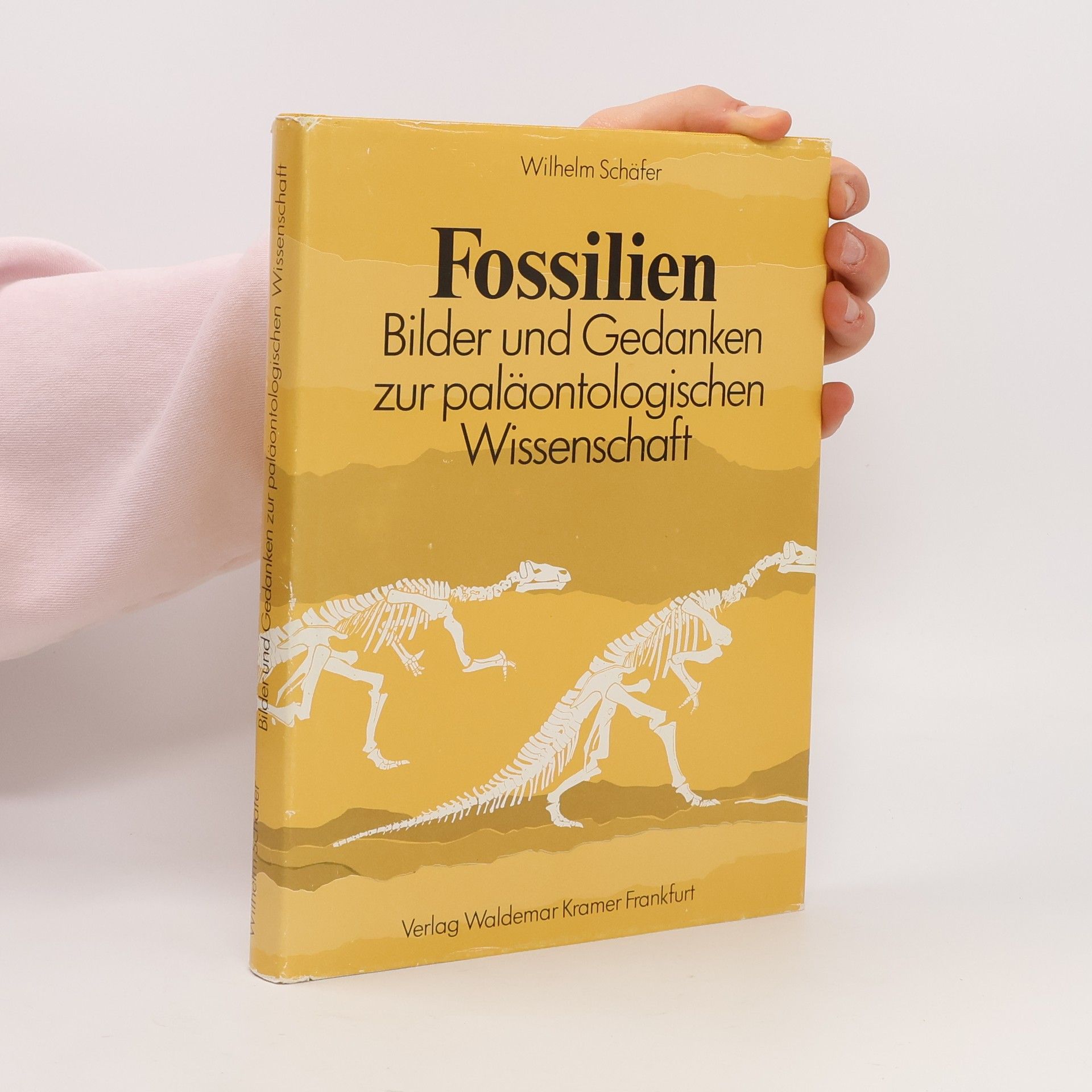Wilhelm Schäfer Senckenberg-Buch: Fossilien