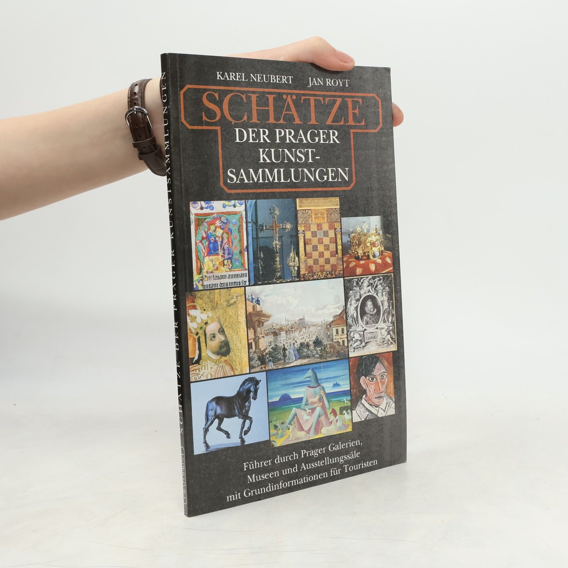 Karel Neubert Schätze der Prager Kunstsammlungen