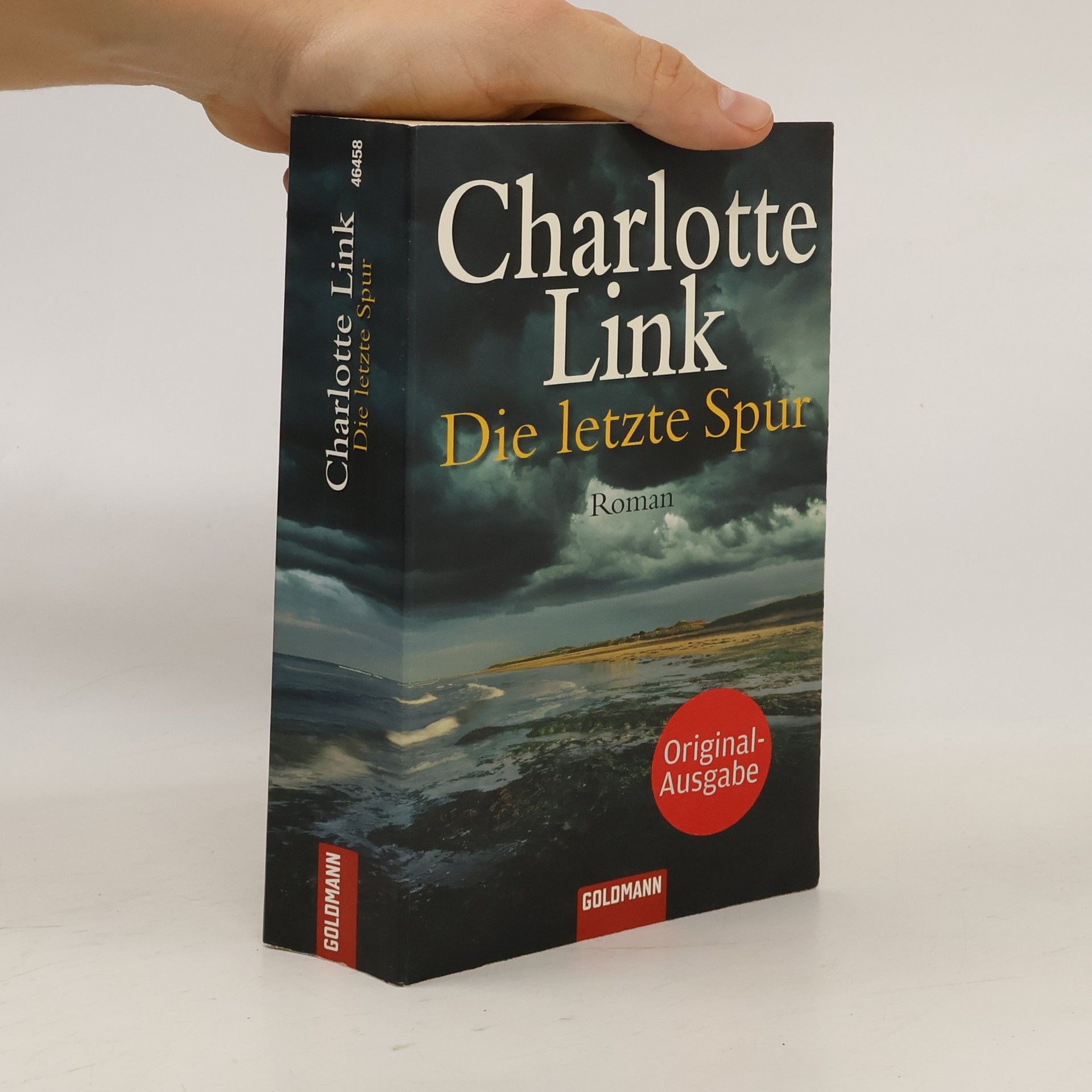 Charlotte Link Die letzte Spur