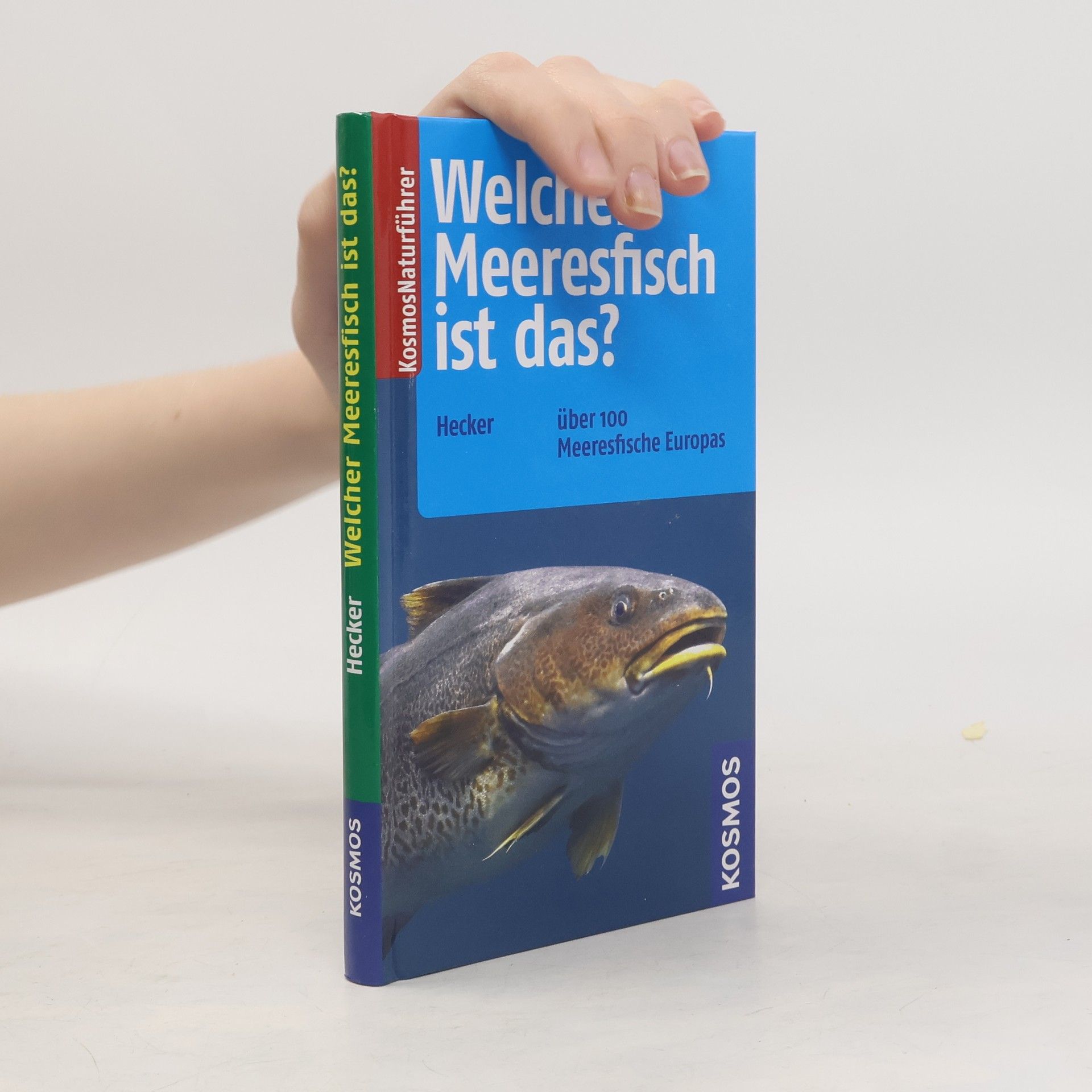 Katrin Hecker Welcher Meeresfisch ist das?
