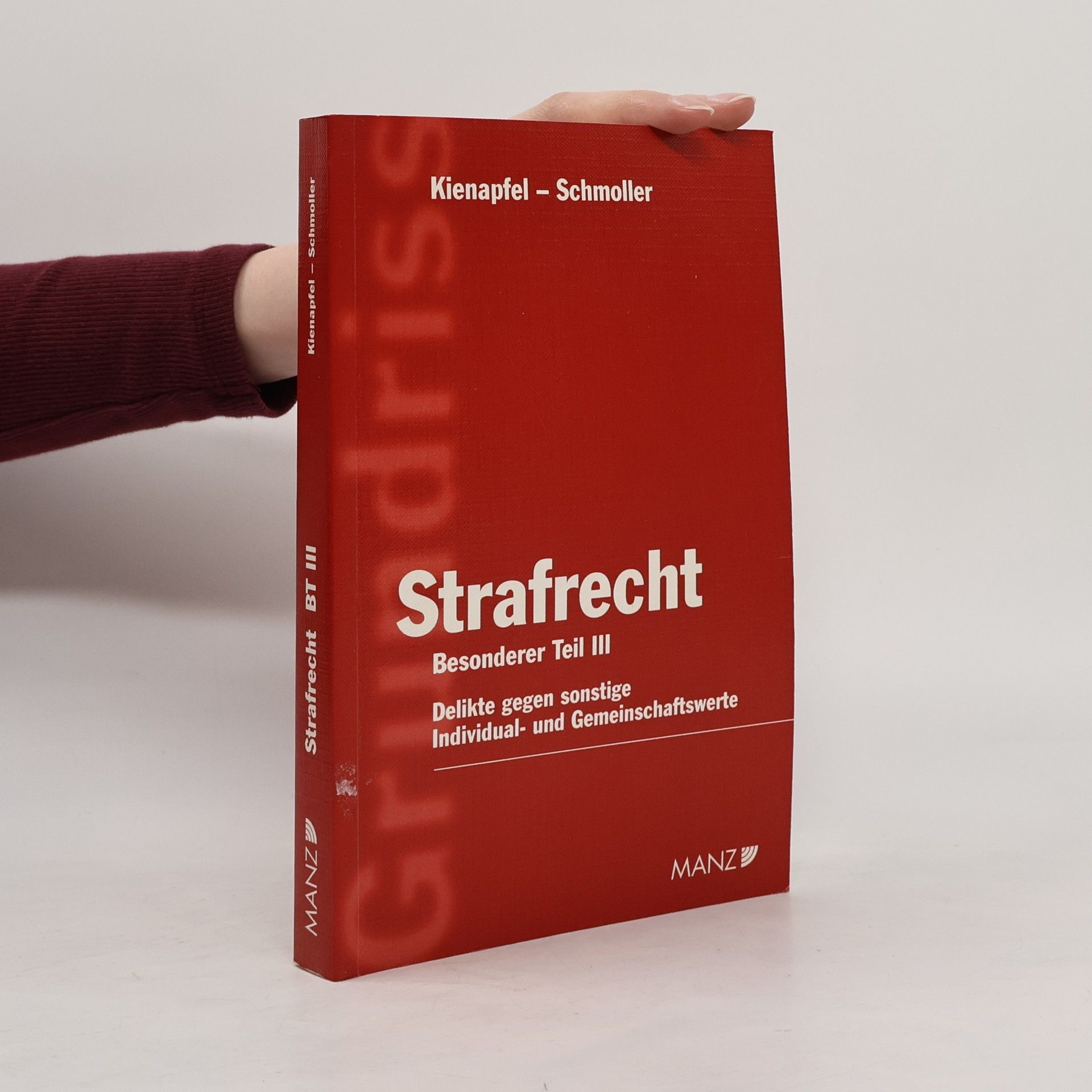 Grundriss des österreichischen Strafrechts