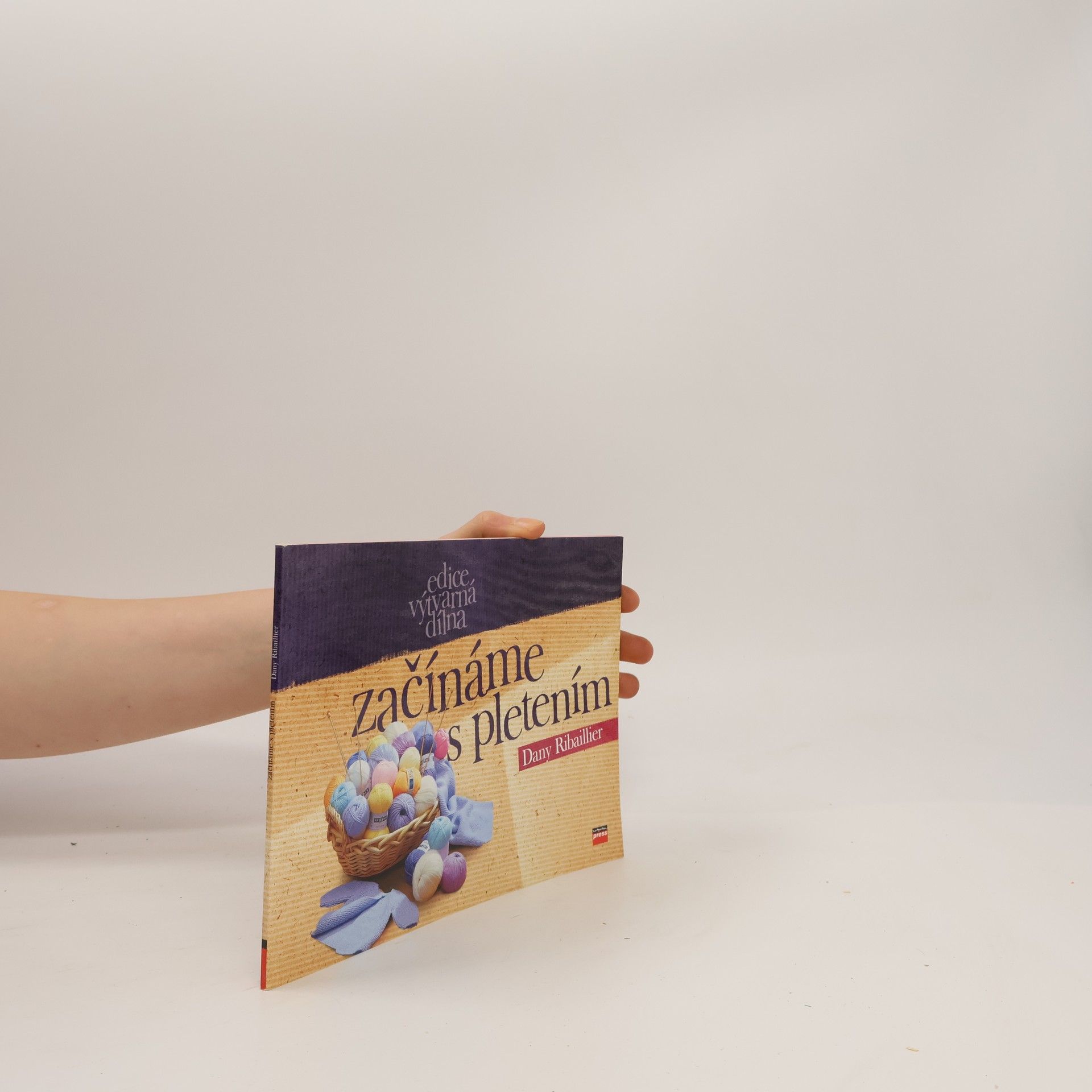 Dany Ribaillier Začínáme s pletením