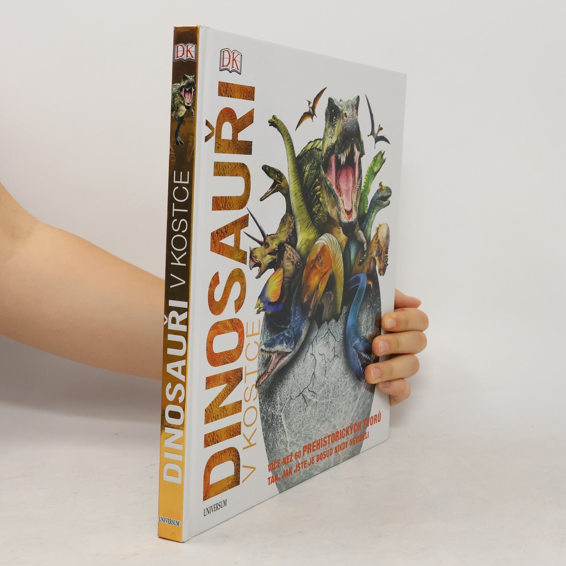 Kolektív autorov Dinosauři v kostce