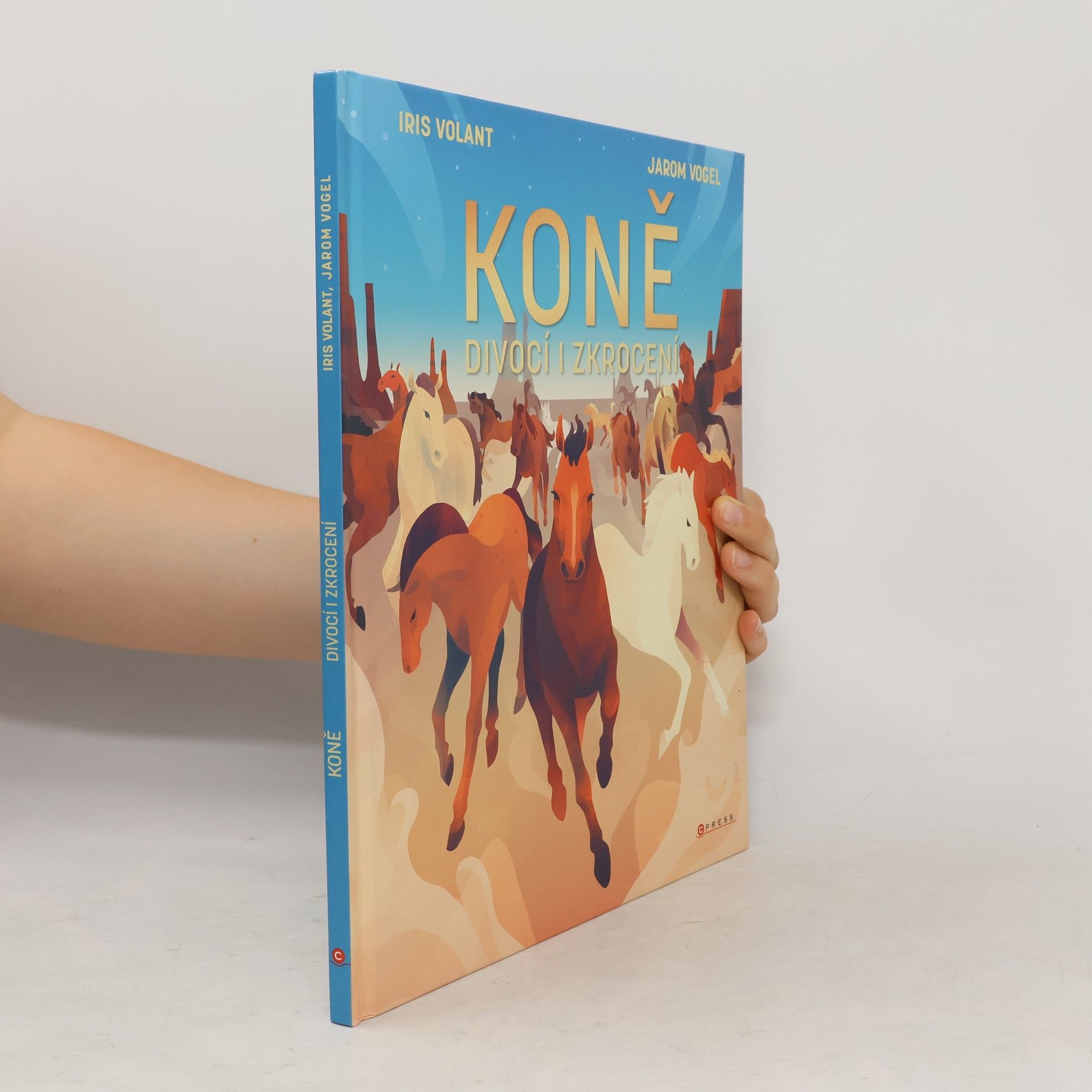 Jarom Vogel Koně: Divocí i zkrocení