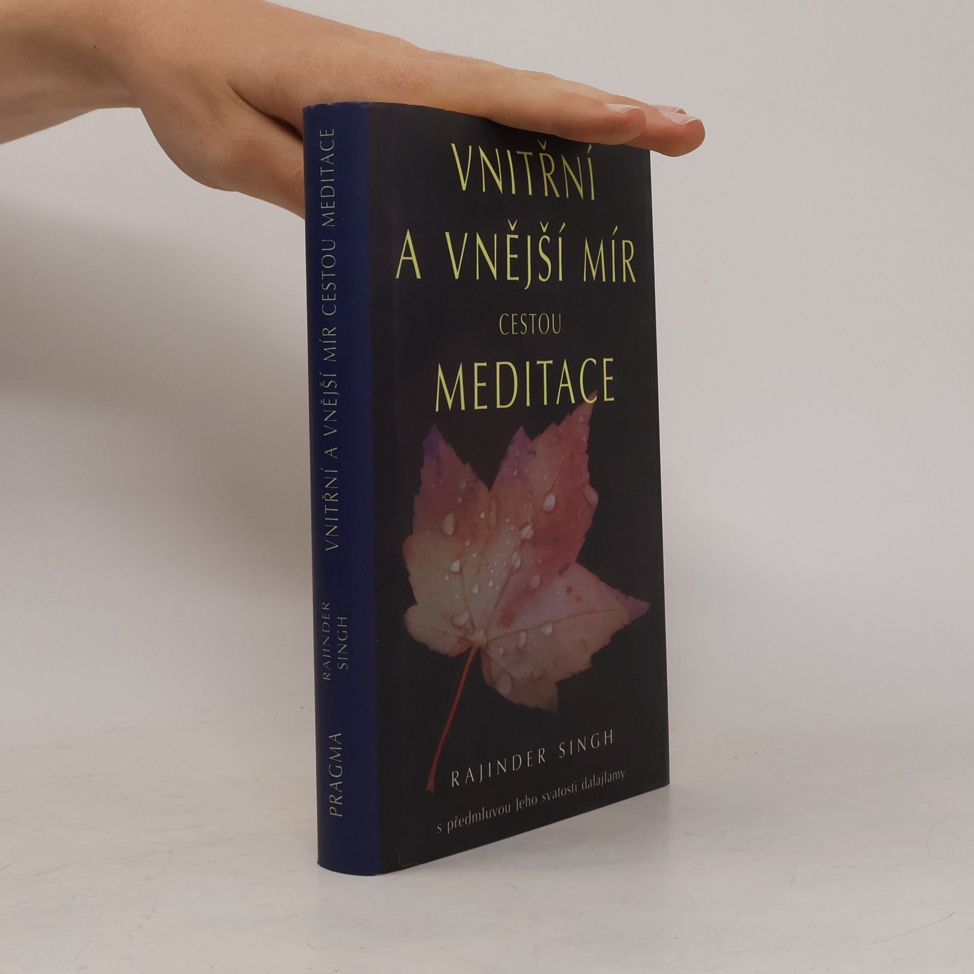 Rajinder Singh Vnitřní a vnější mír cestou meditace
