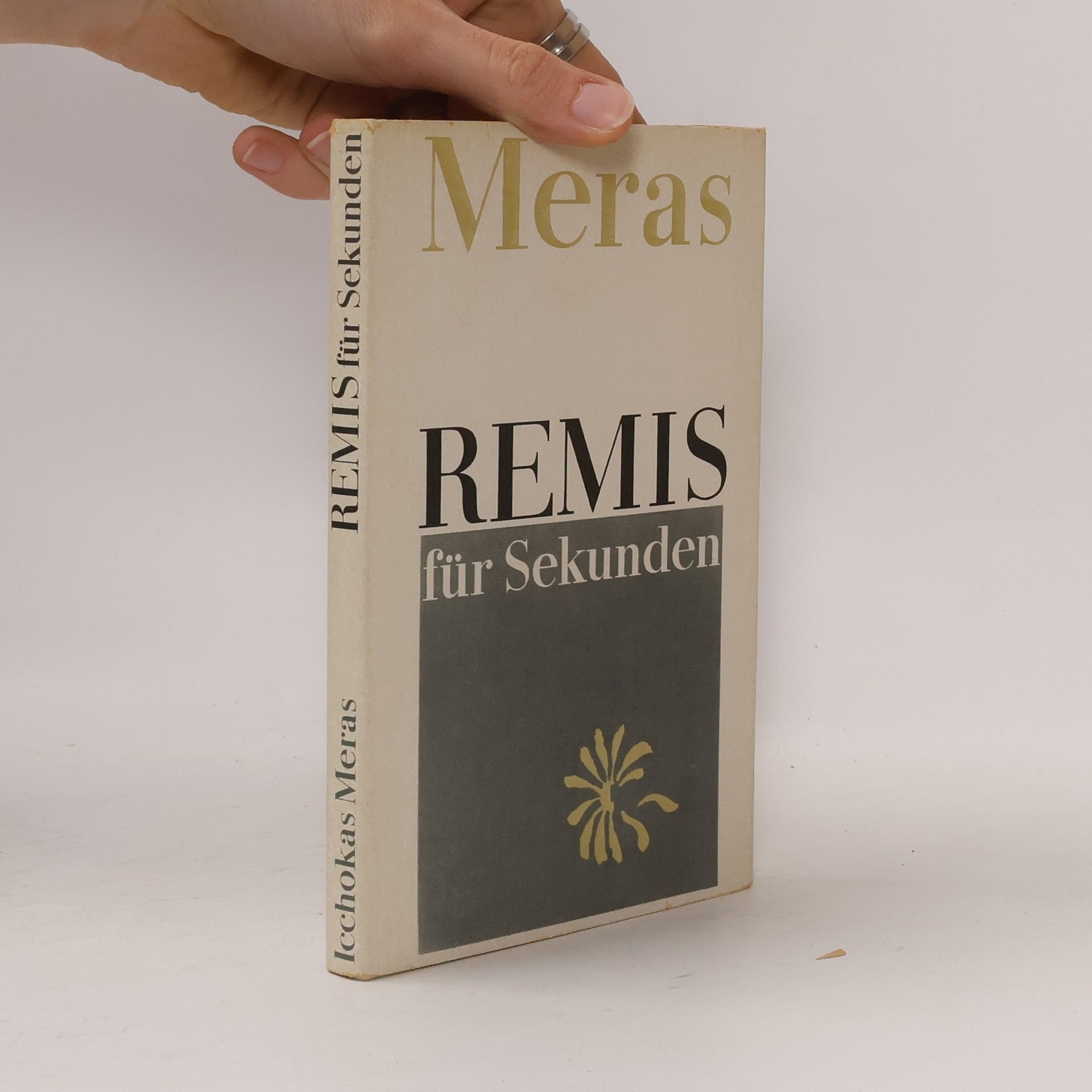 Icchokas Meras Remis für Sekunden