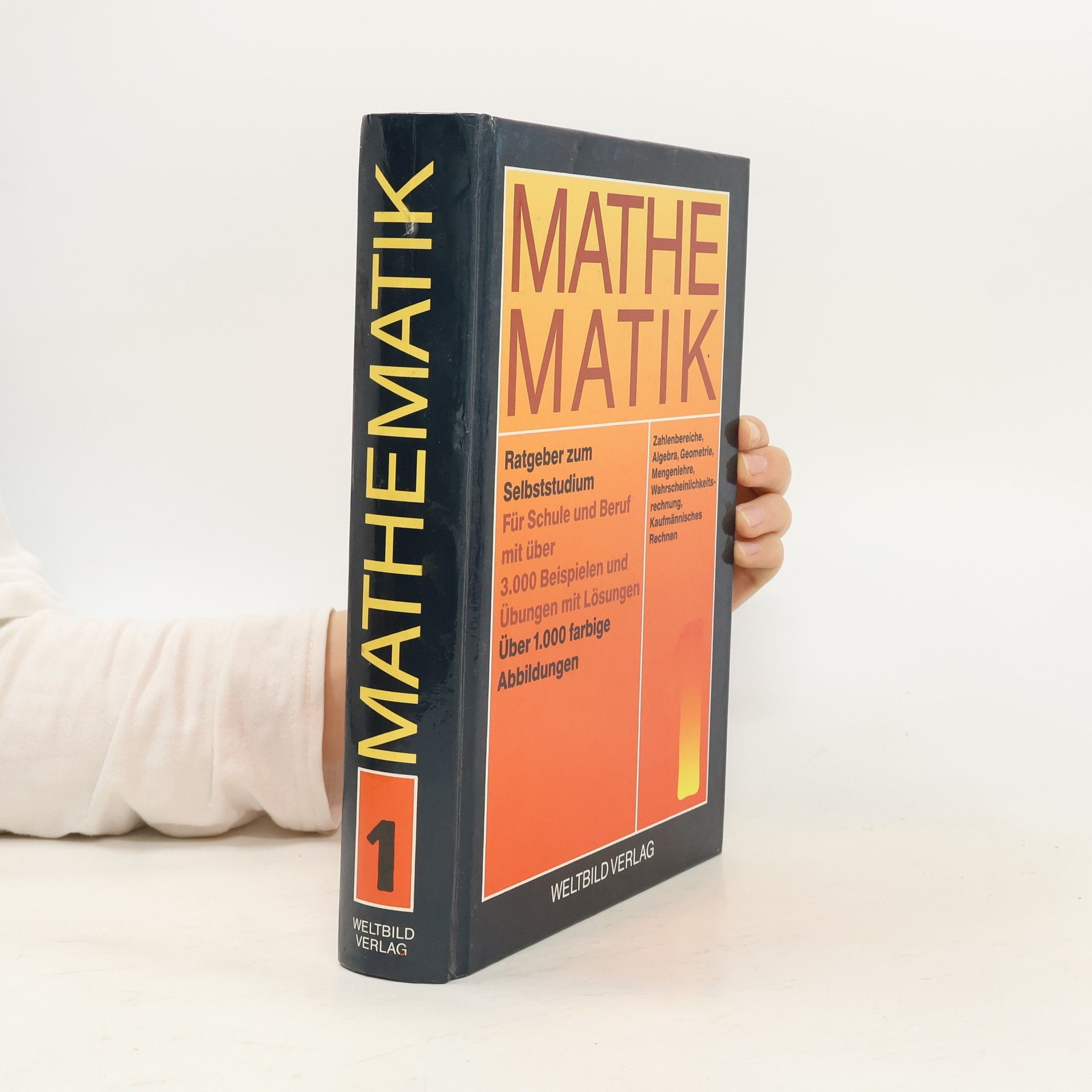 Autorenkollektiv Mathematik 1. Ratgeber zum Selbststudium